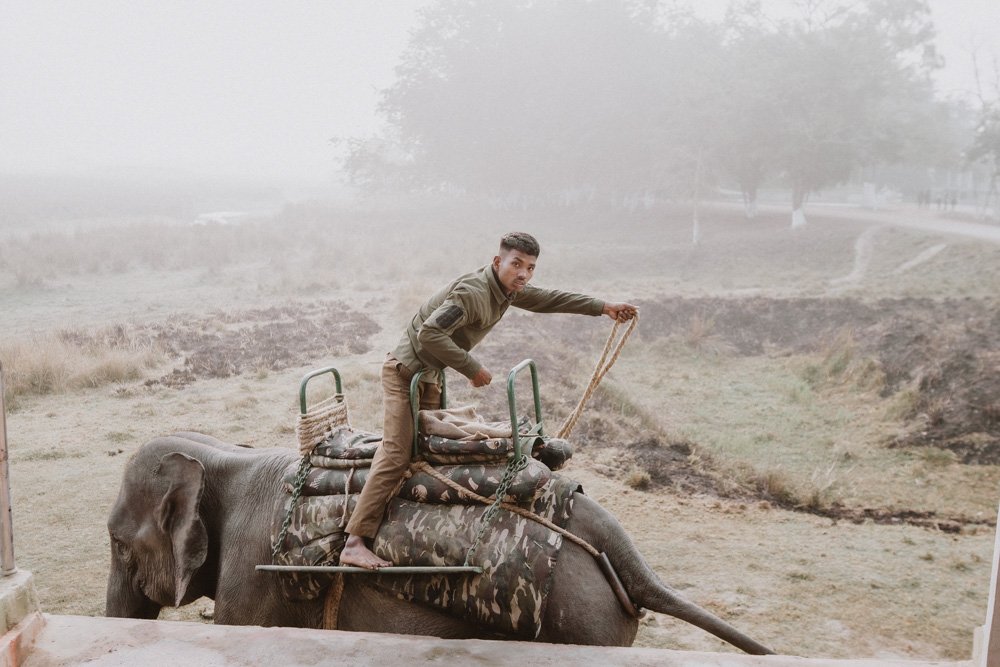 KAZIRANGA_ELEPHANT SAFARI-123.jpg