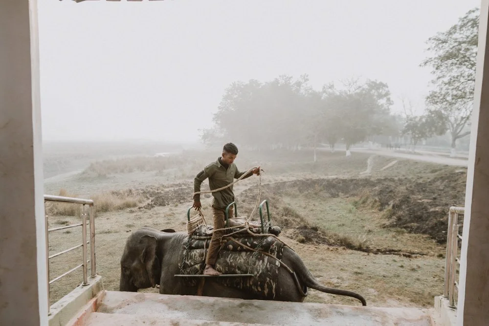 KAZIRANGA_ELEPHANT SAFARI-124.jpg