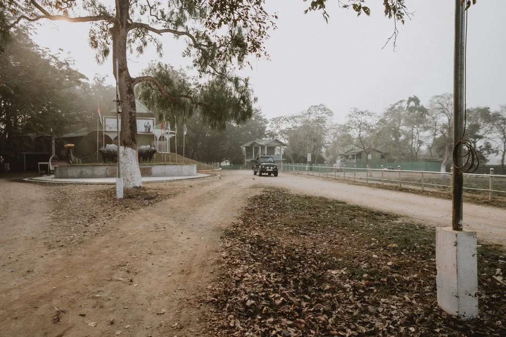 KAZIRANGA_ELEPHANT SAFARI-127.jpg