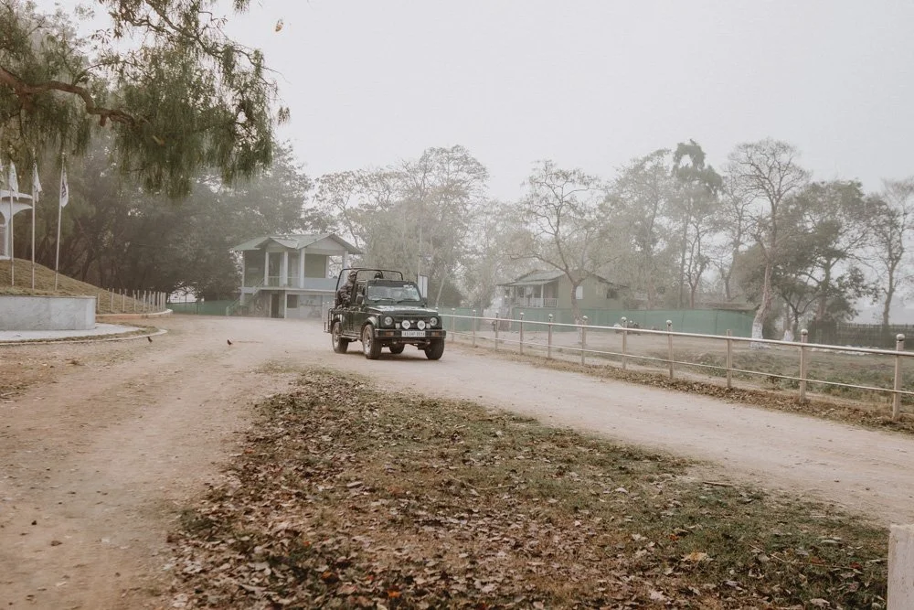 KAZIRANGA_ELEPHANT SAFARI-128.jpg