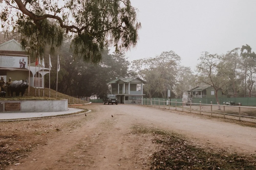 KAZIRANGA_ELEPHANT SAFARI-129.jpg