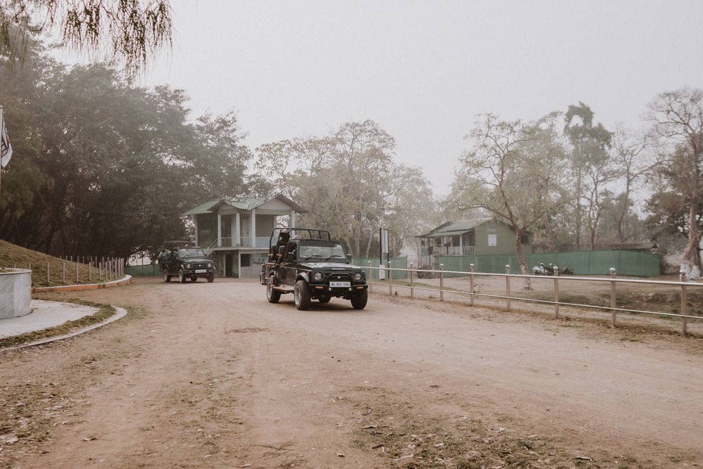 KAZIRANGA_ELEPHANT SAFARI-130.jpg