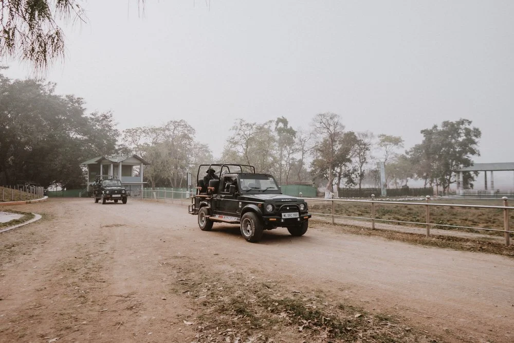 KAZIRANGA_ELEPHANT SAFARI-131.jpg