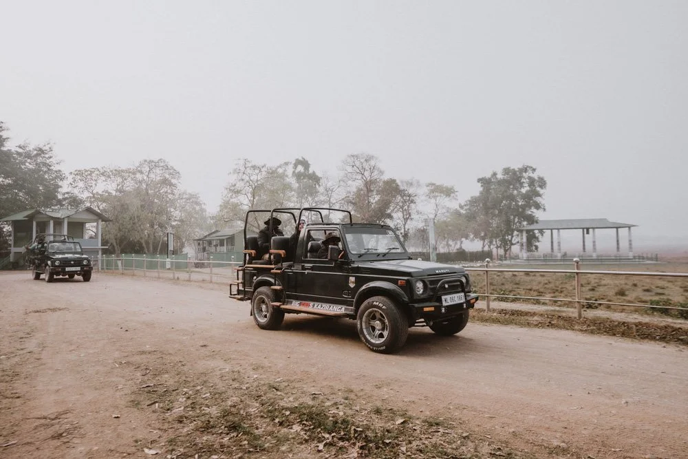 KAZIRANGA_ELEPHANT SAFARI-132.jpg