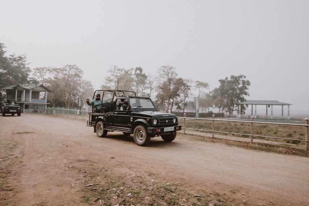 KAZIRANGA_ELEPHANT SAFARI-133.jpg