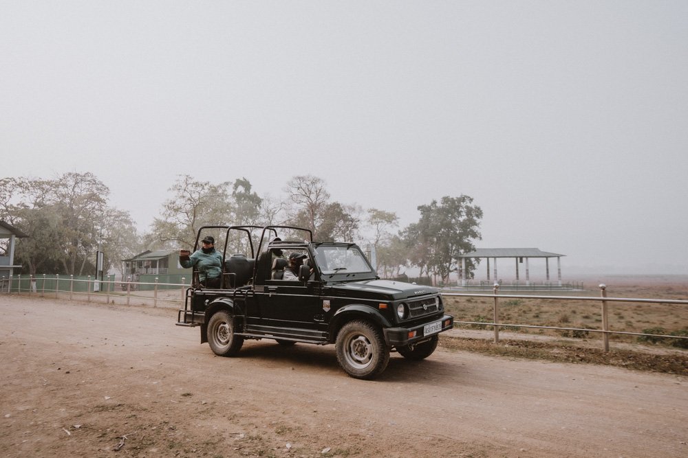 KAZIRANGA_ELEPHANT SAFARI-134.jpg