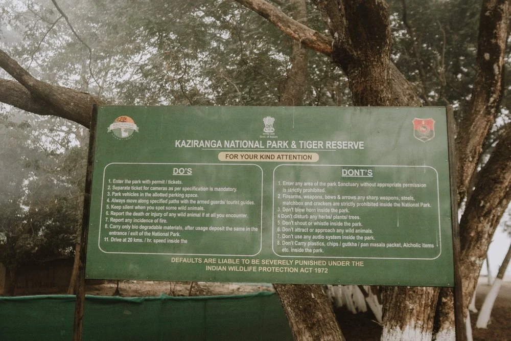 KAZIRANGA_ELEPHANT SAFARI.jpg