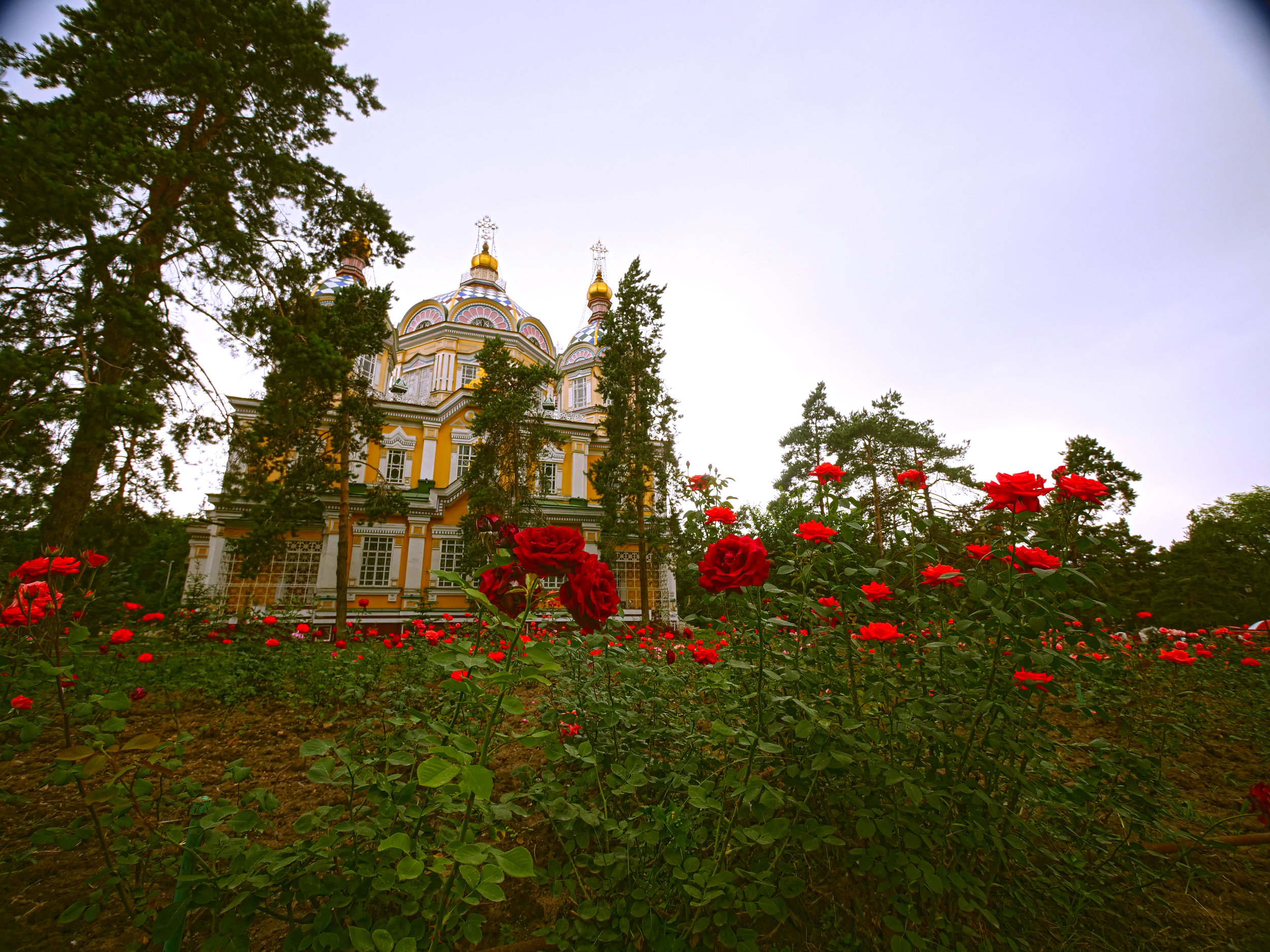 zenkovs cathedral.jpg