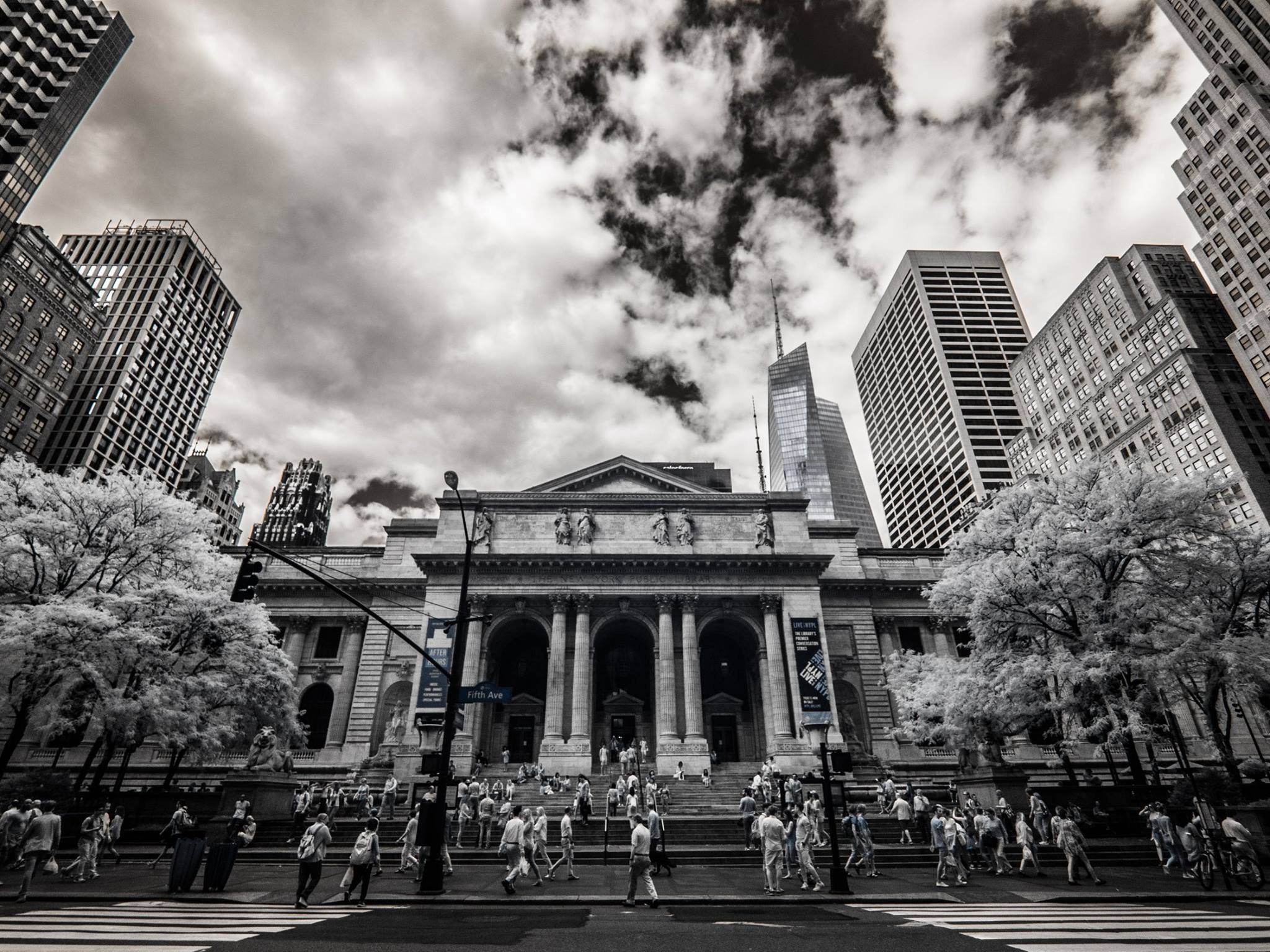 New York Public Library, 8mm