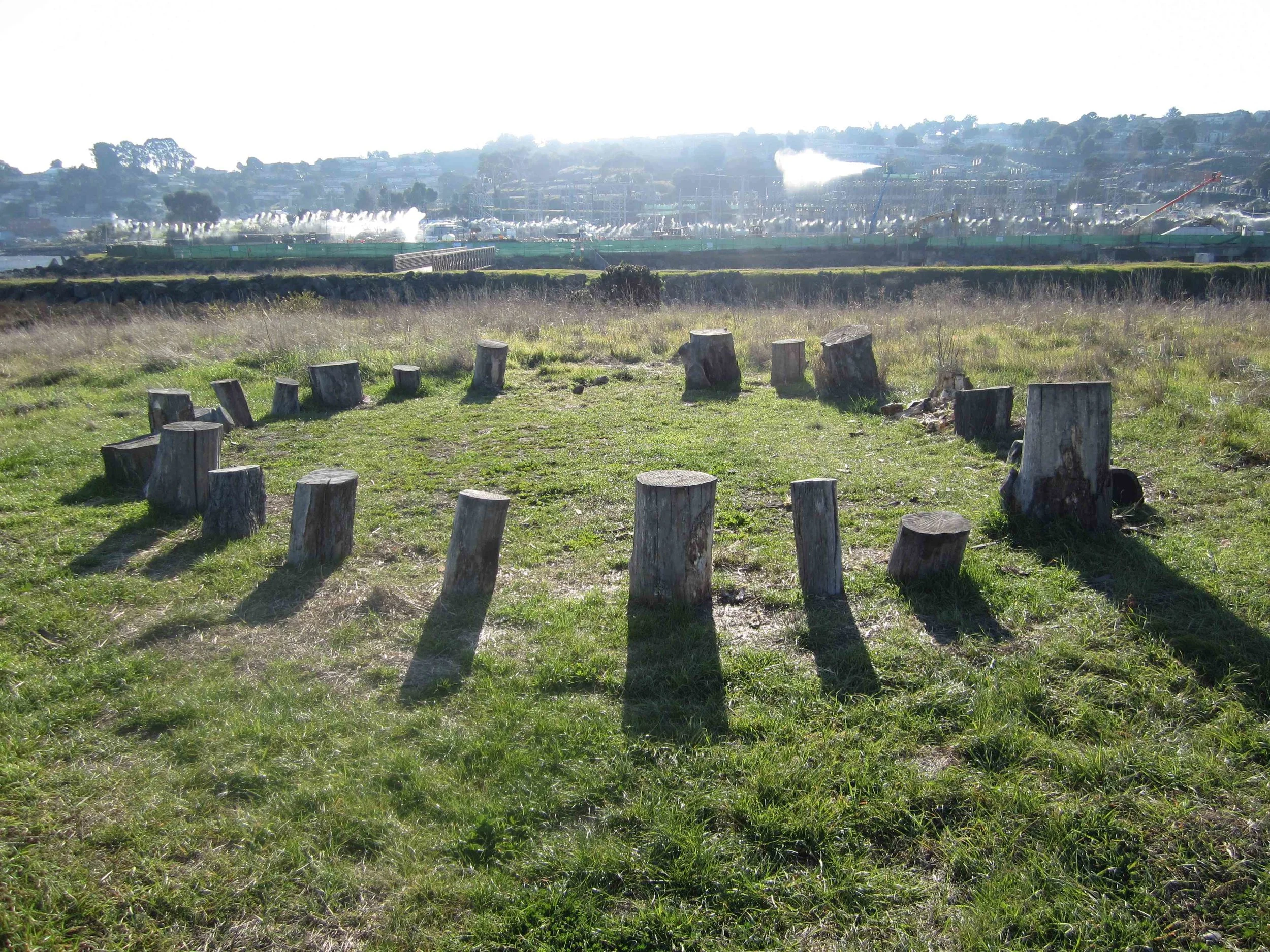A RACE CRITICAL ENVIRONMENT