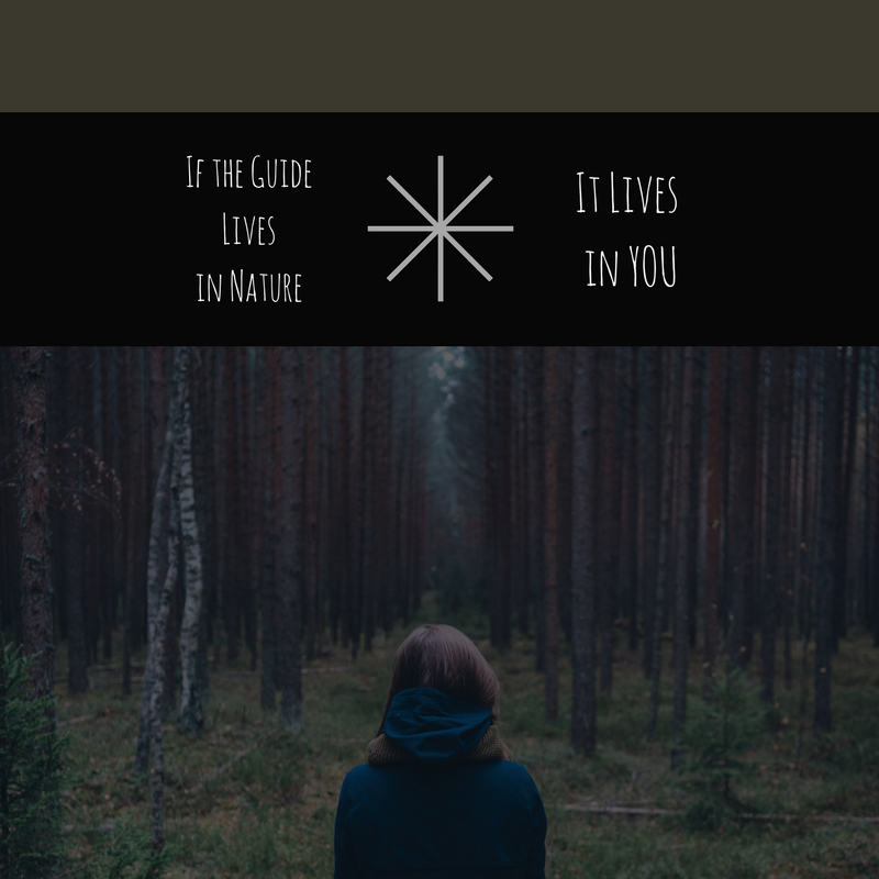 If the Guide Lives in Nature, It Lives in You