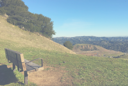 Revealing Our Hidden Treasures With Healing Hikes
