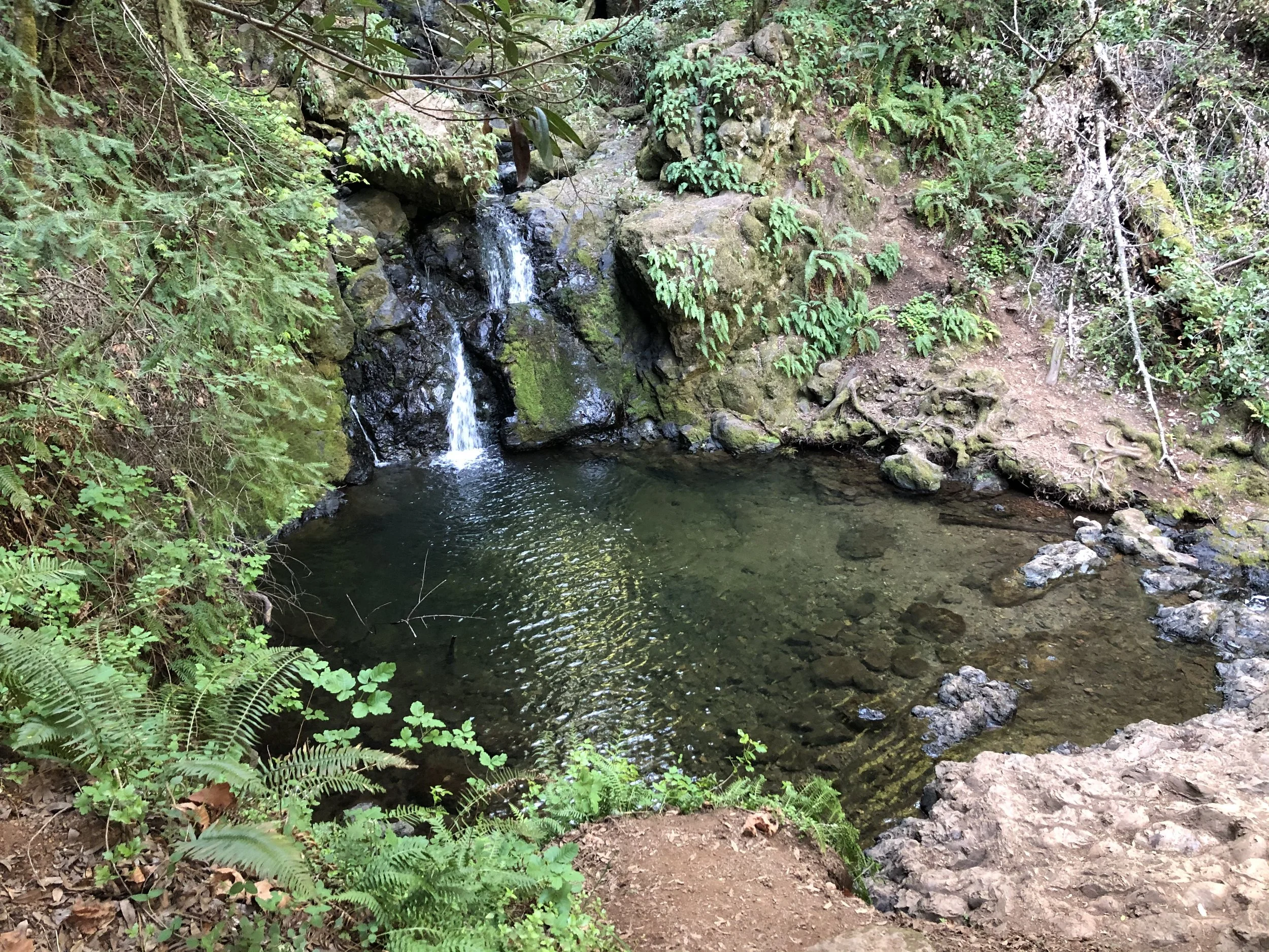 IMG_7348.jpeg