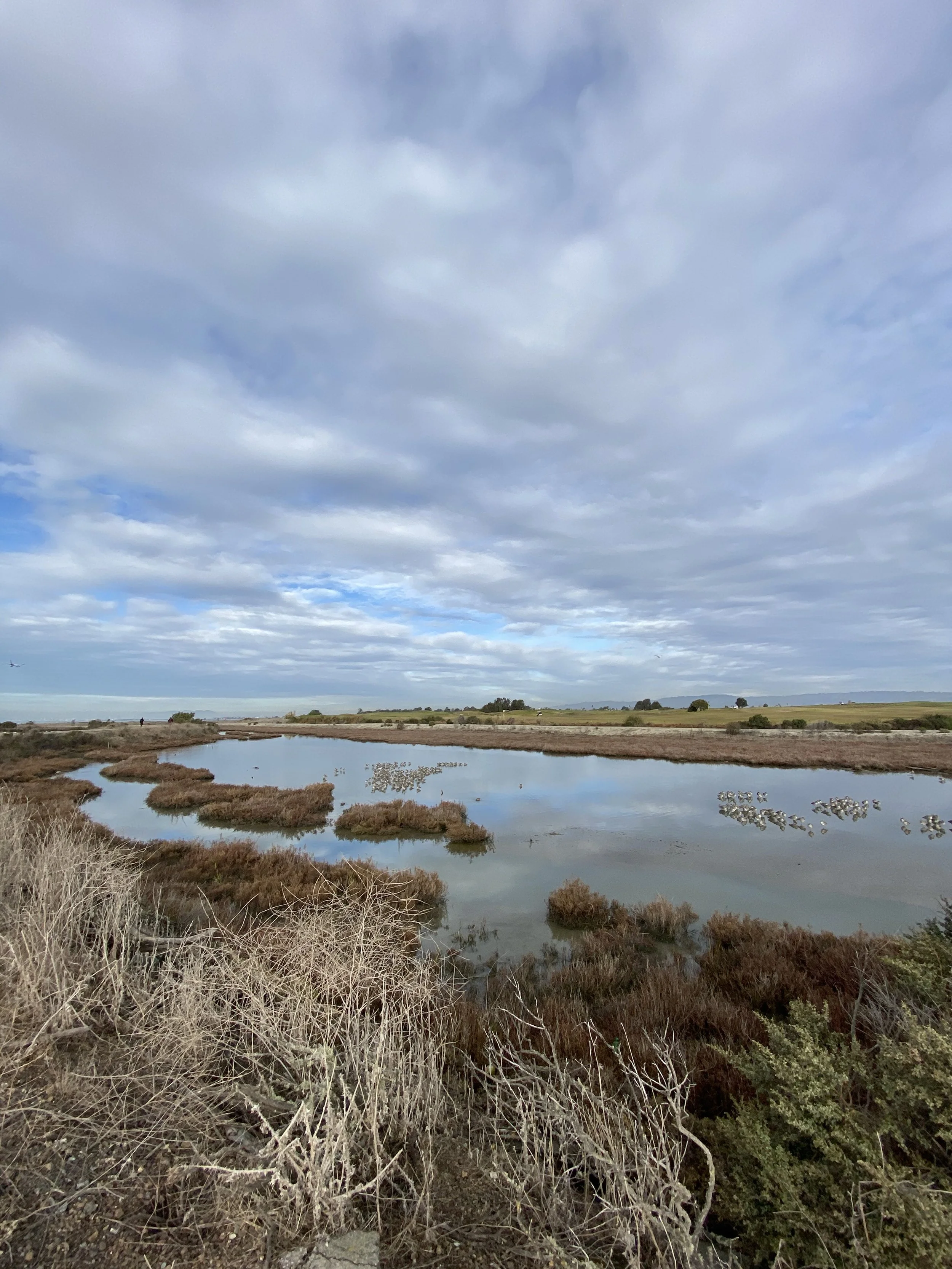 Trailheads To Healing: Channeling Ancestral Remembering With Water
