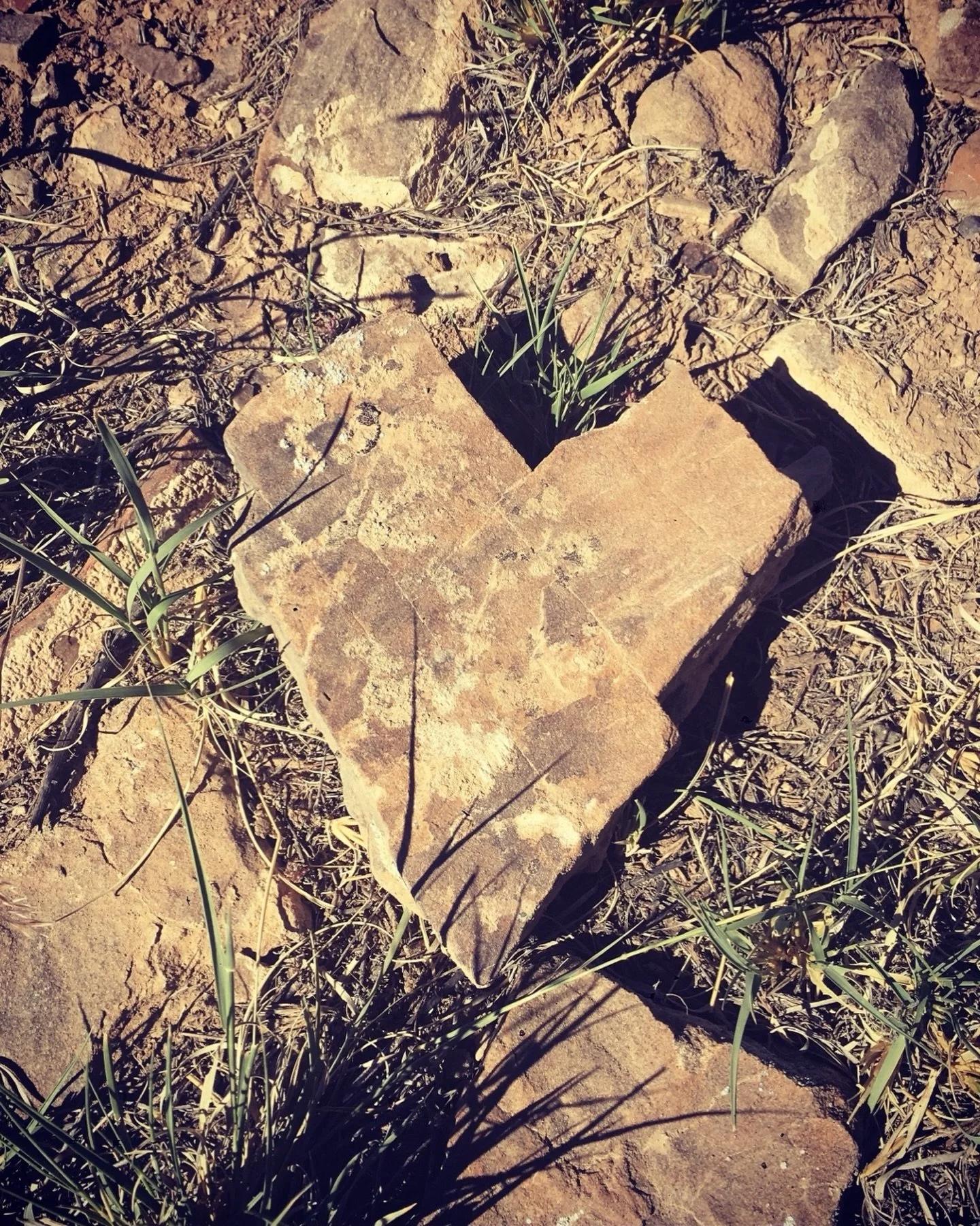 LOVE in its rawest form. &hearts;️🌎

LOVE is where we come from and where we&rsquo;ll return to 🌀
LOVE is the default.

Proceed with LOVE 💘➡️