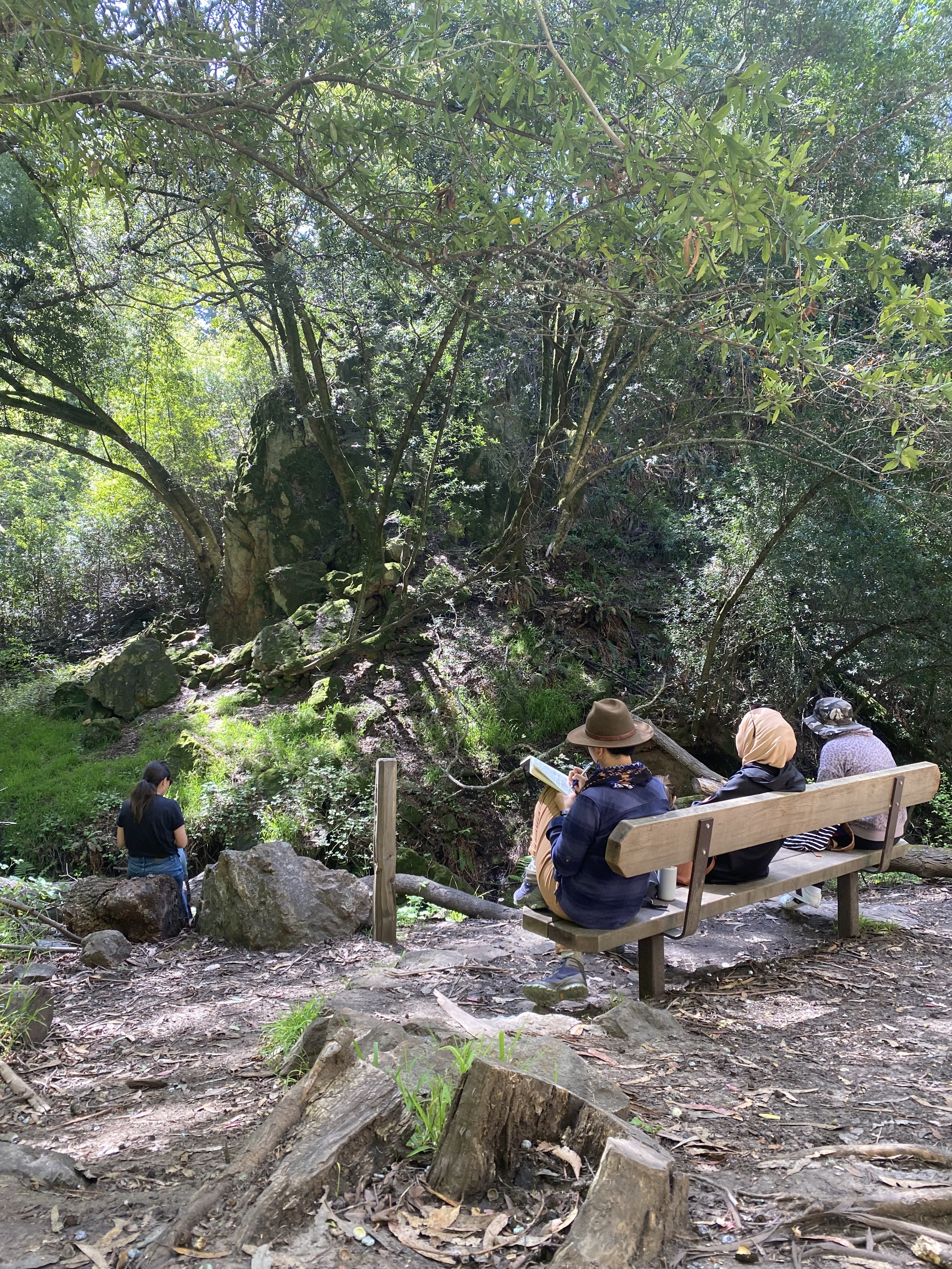 Unlocking Team Performance: 4 Benefits of Guided Nature Experiences for Your Organization