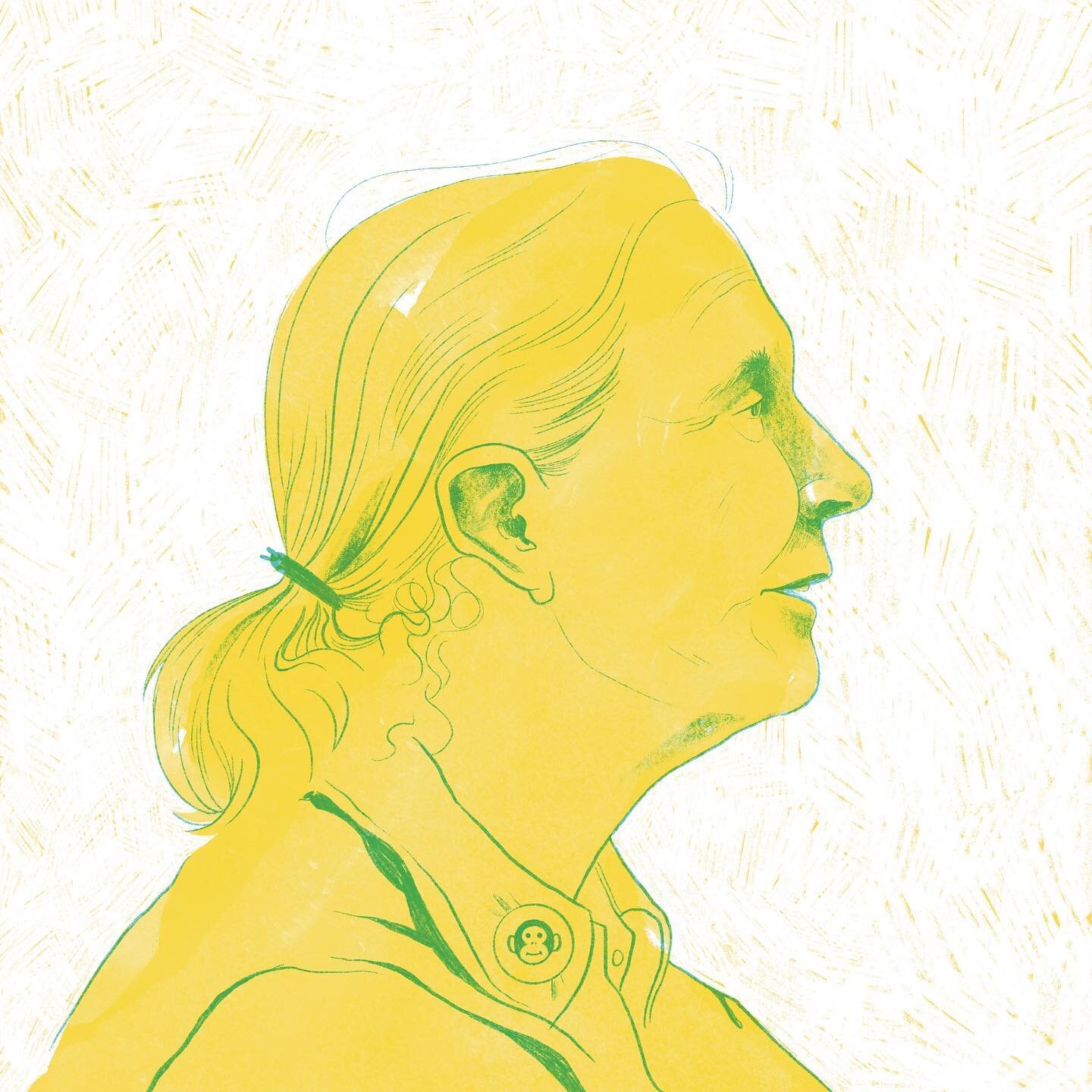 An angle/WIP of Dr. Goodall that I won&rsquo;t be going with but wanted to share it before I toss it and continue with her portrait over the break! 🐵

Side note: just finished my last class of Ideation and Storytelling with @edwardkinsella @visualar