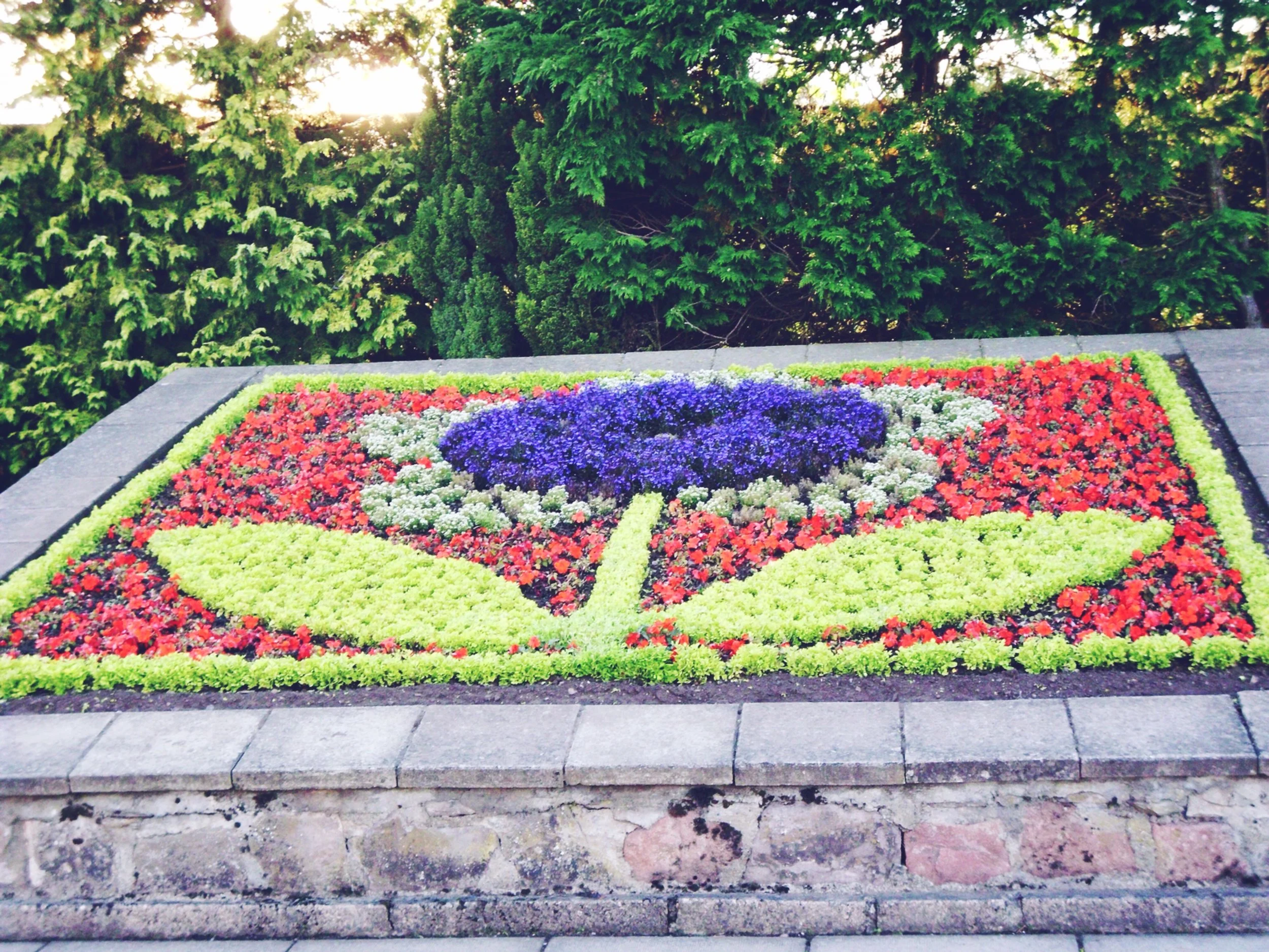 flowergarden.jpg