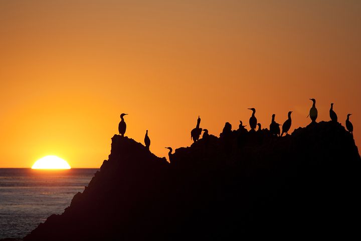 sunset-3195123__480.jpg
