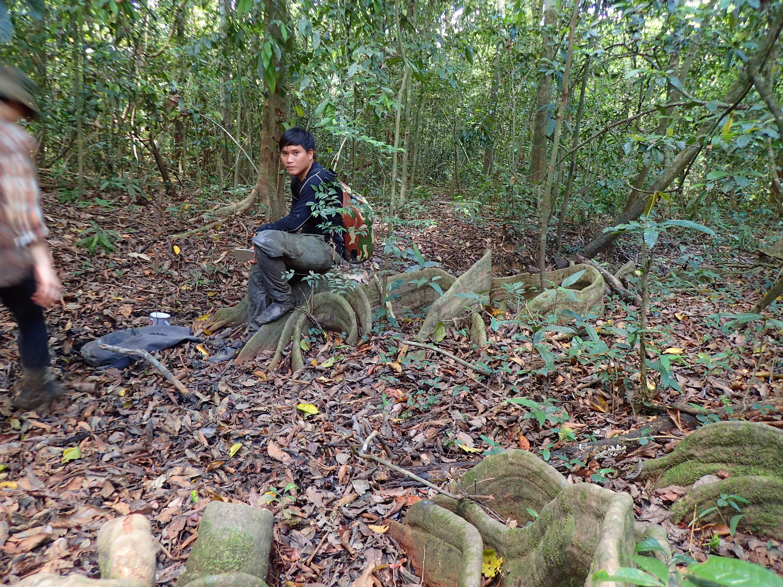 Fikri and I working on a transect through the jungle. 