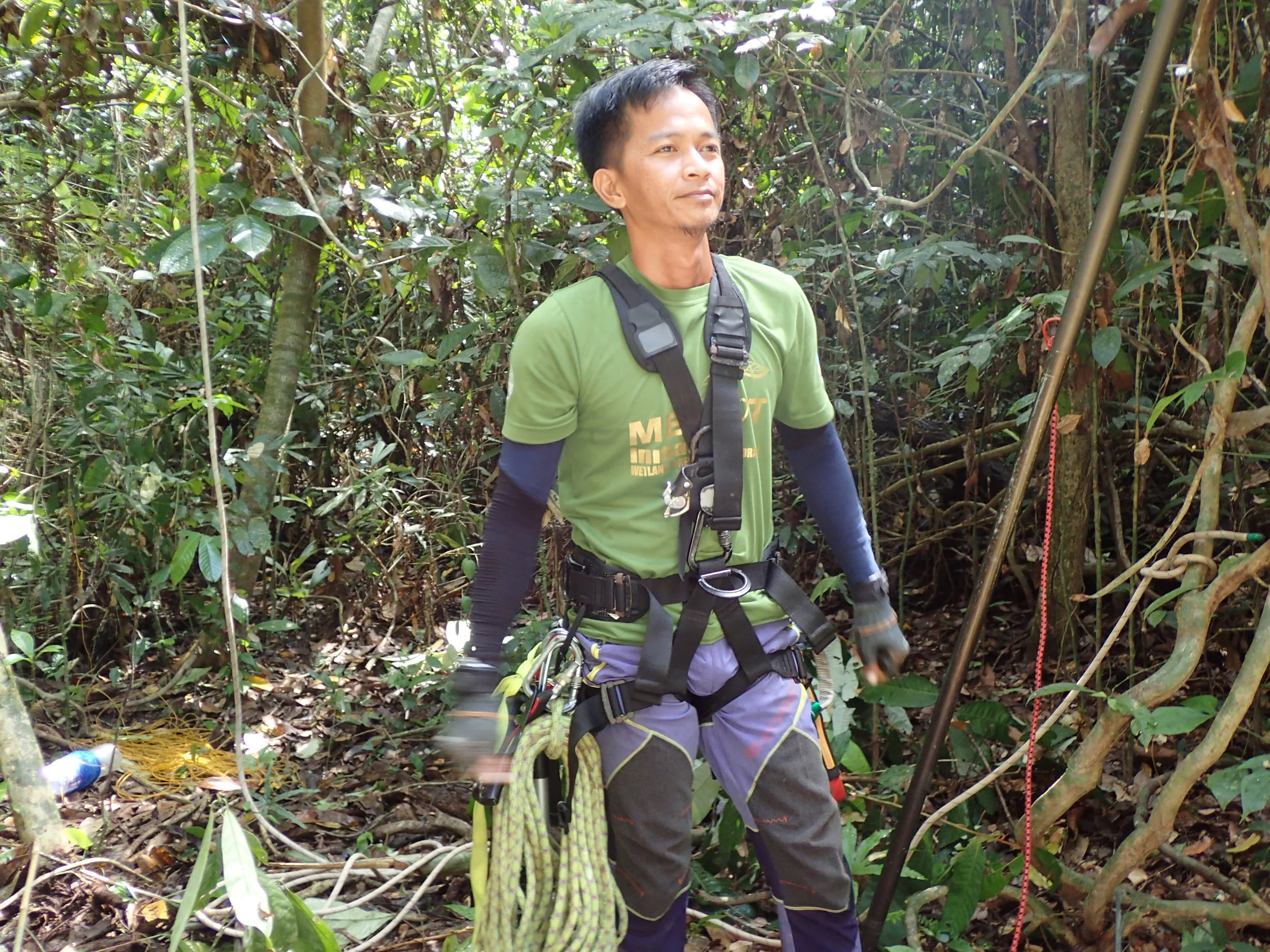Norsalleh climbing to collect seeds for the nursery.