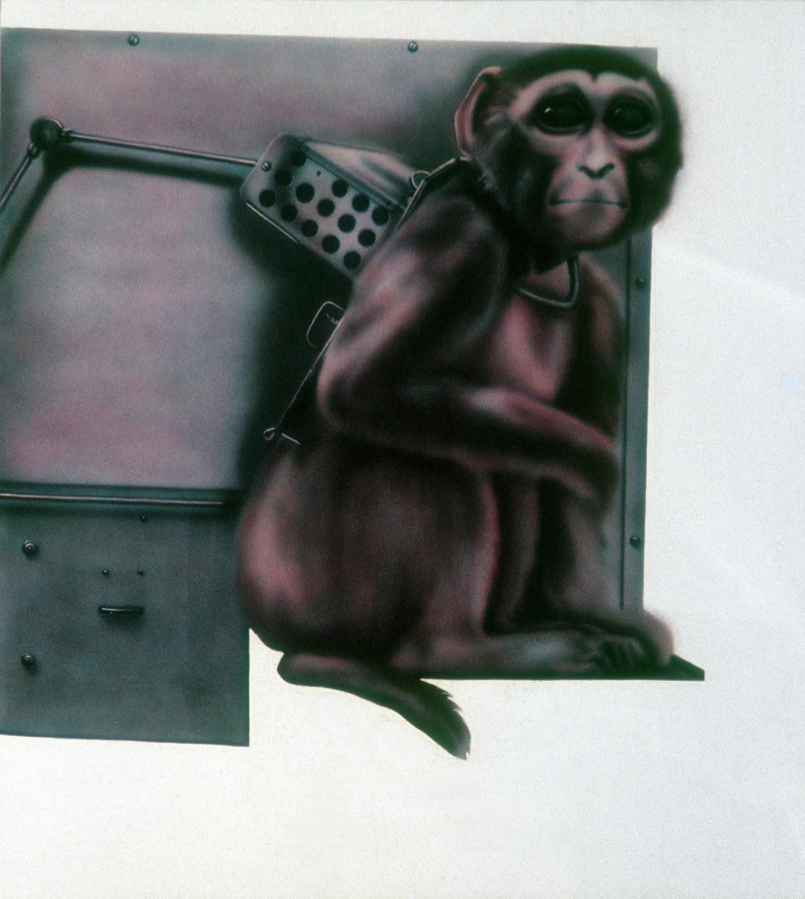 Monkey 1969 copy.jpg