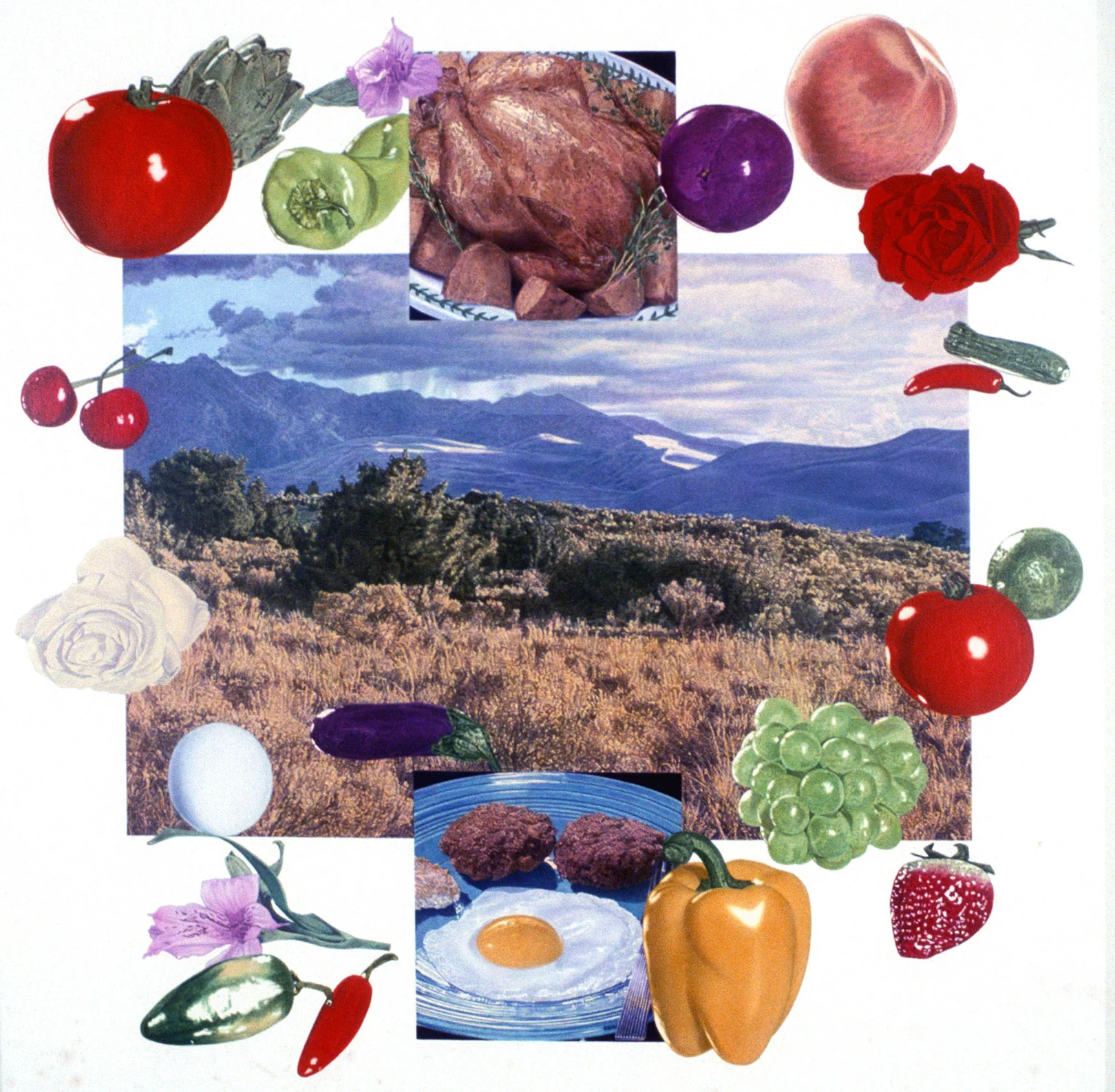 Memory and Imagination 1989 copy.jpg