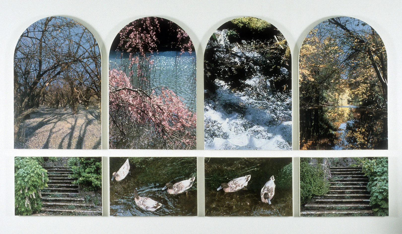 Seasons of Light 1998-99 copy.jpg