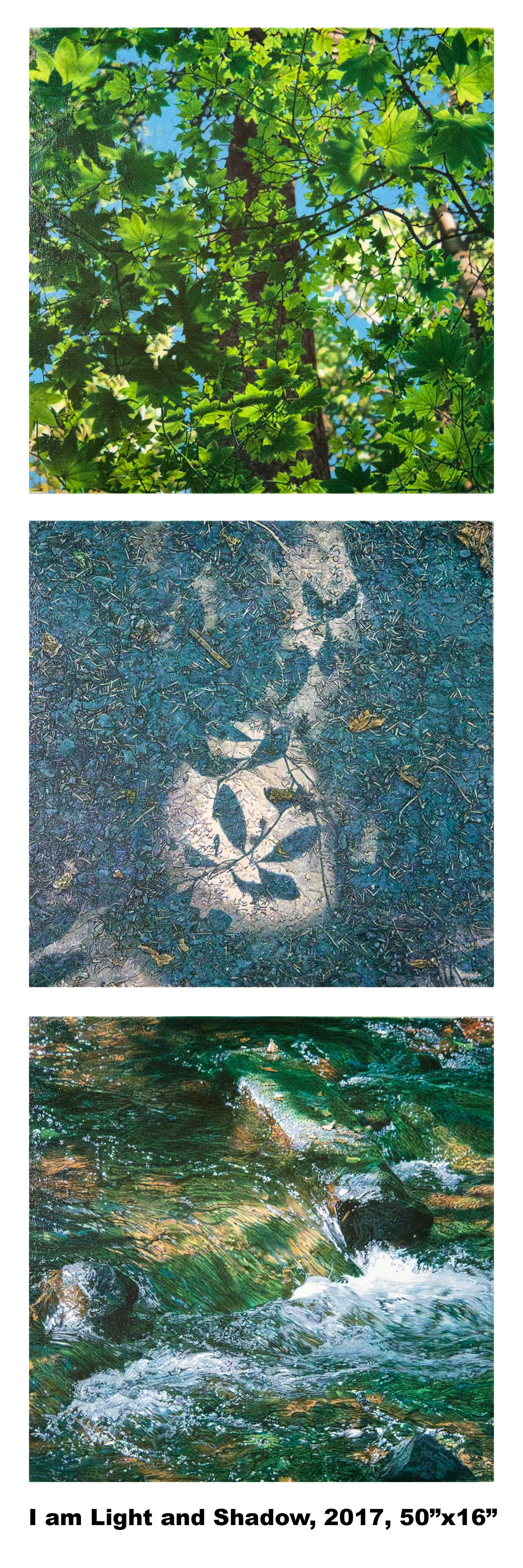 IALASweb.jpg