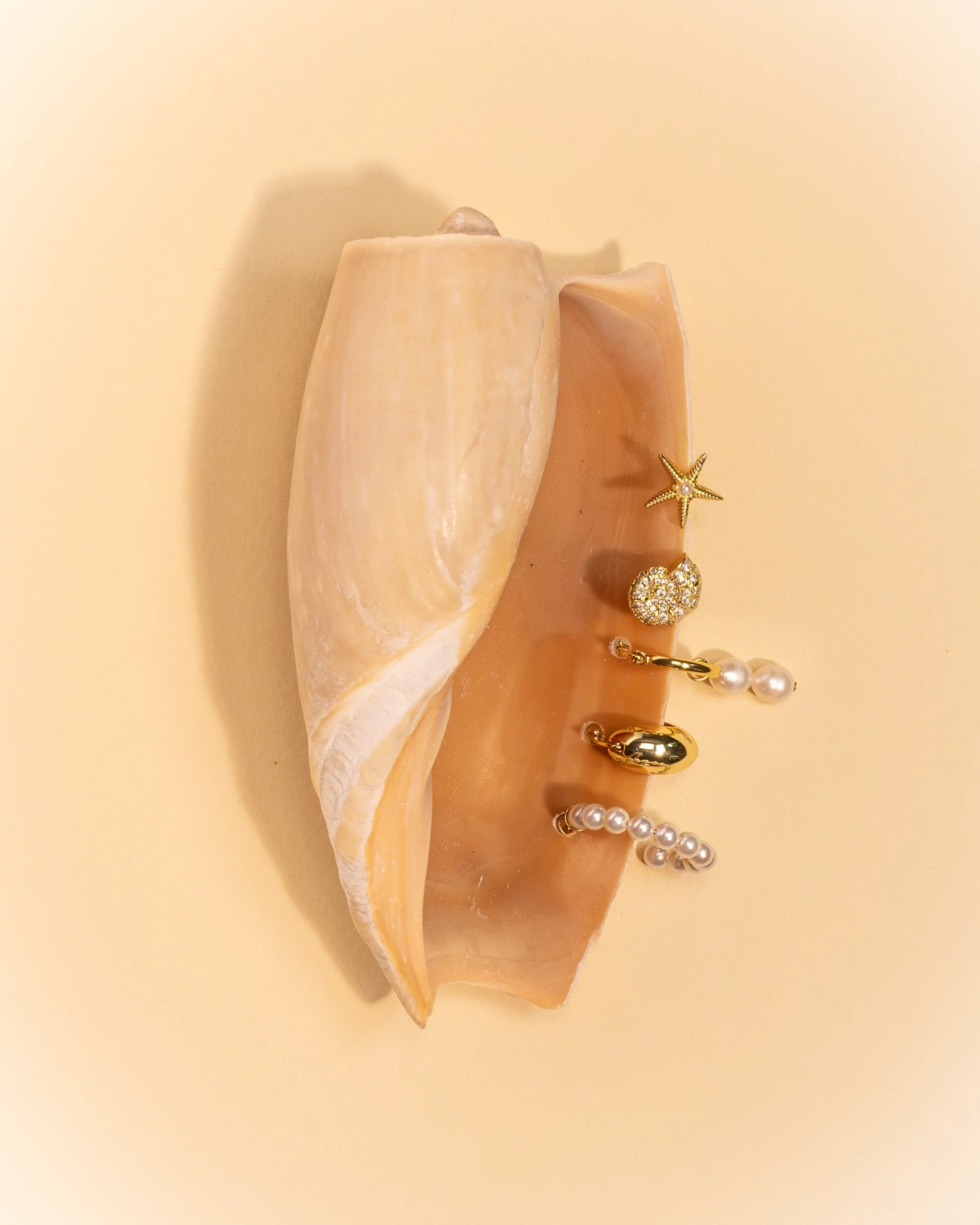 Shelly moments for @electricpicks 🐚

Photography &amp; styling by @megcreates.studio 

#stilllife #photography #productphotography #brandphotography #summer