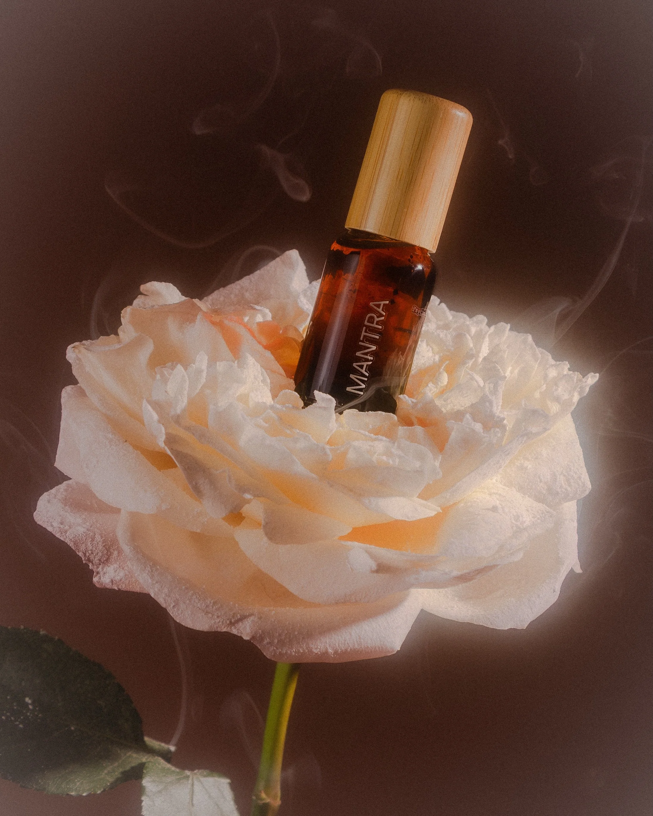 Mantra for @quinquefragrance 🥀

Art direction, styling &amp; photography by @megcreates.studio 

#stilllifephoto #productphotography #flatlay #beauty #fragrance