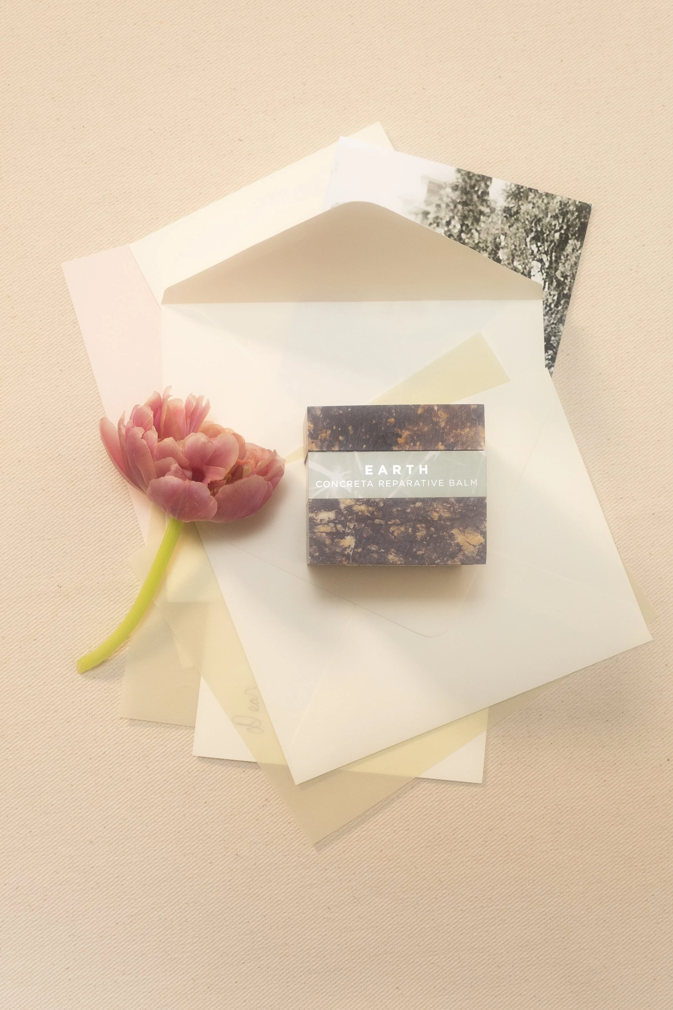 A pink flower and several pieces of paper, including a box labeled Earth Concrete Reparative Balm, are arranged on a beige surface.