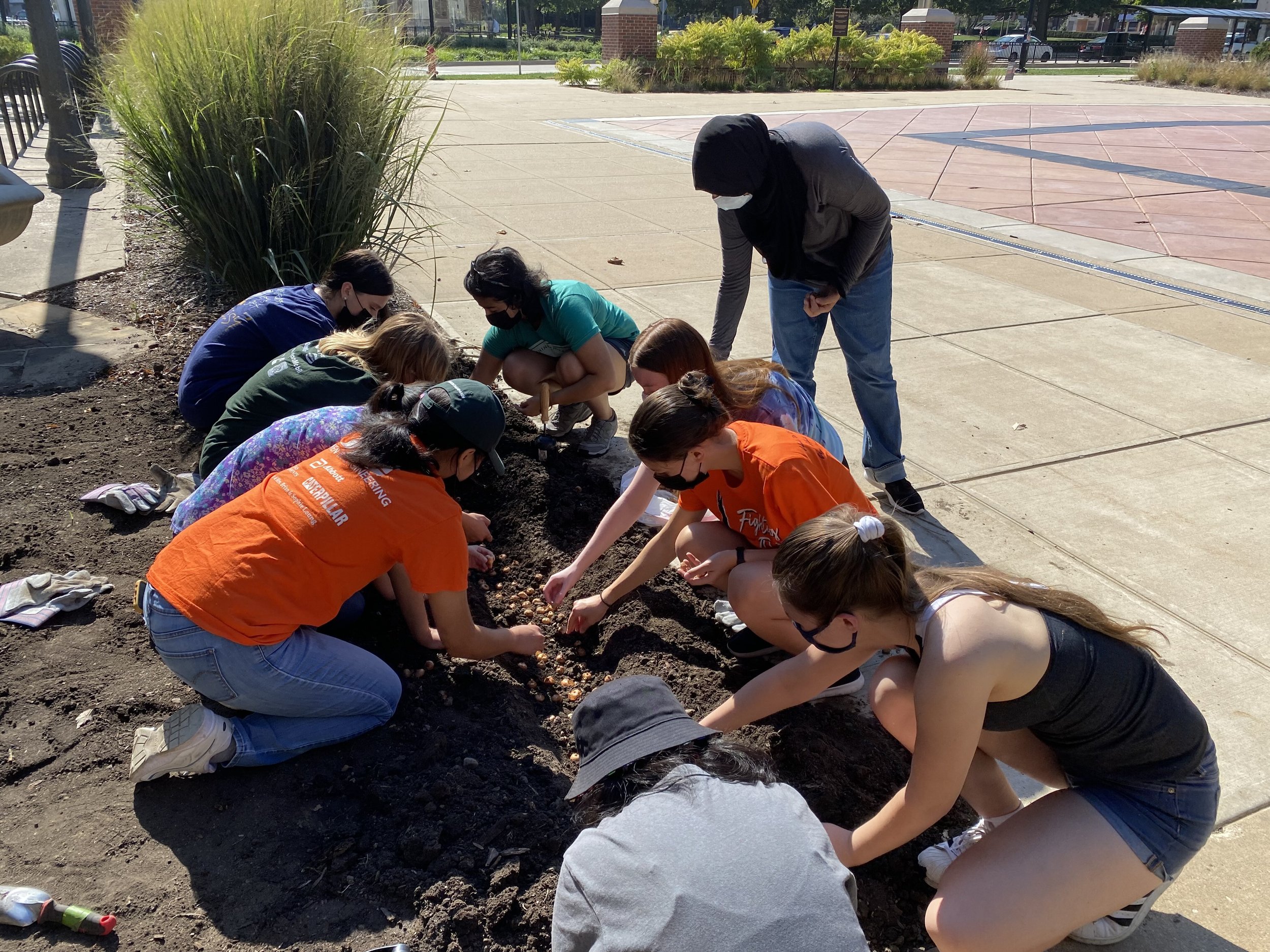 SWE Garden Planting