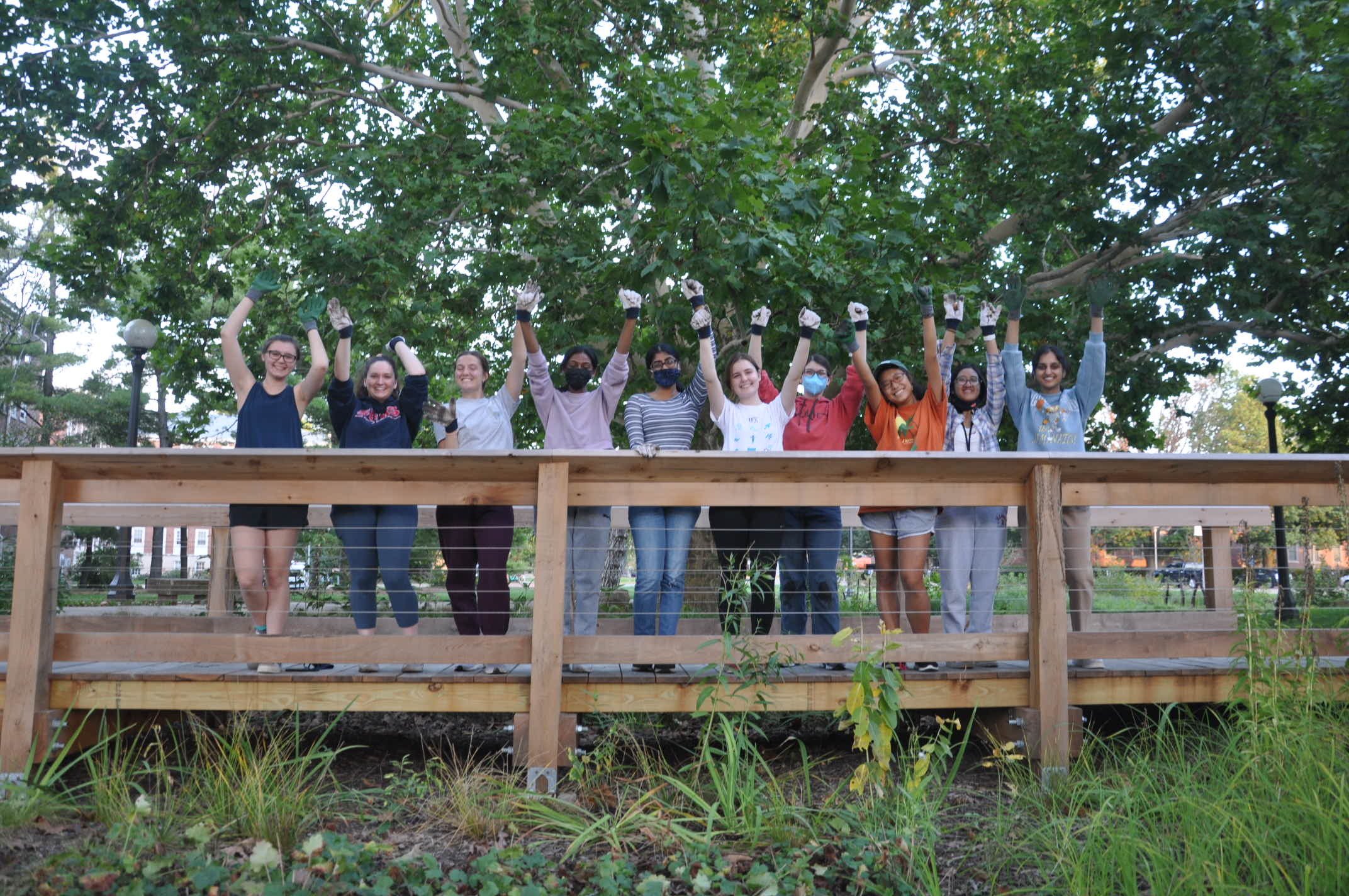 Red Oak Rain Garden