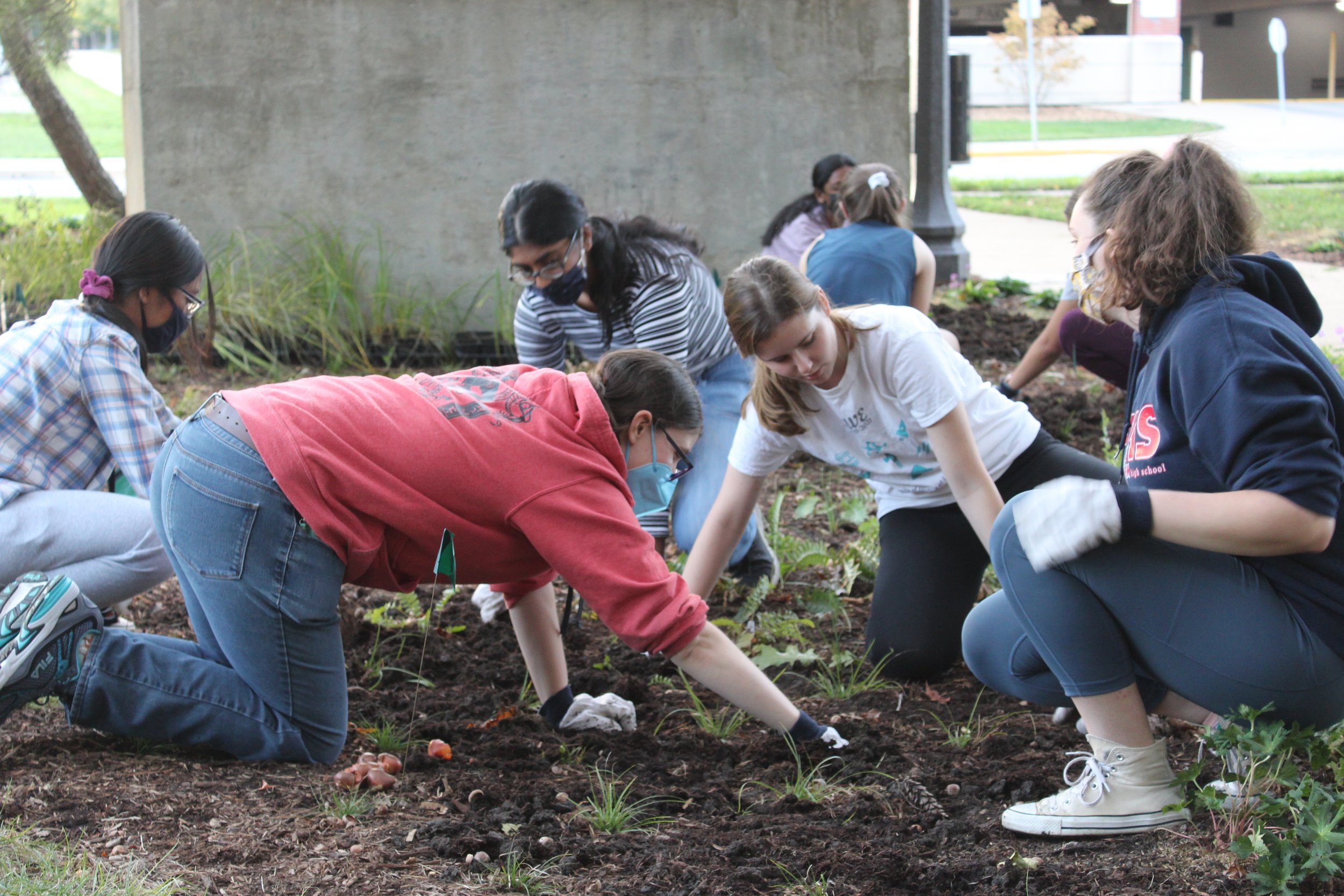 Red Oak Rain Garden