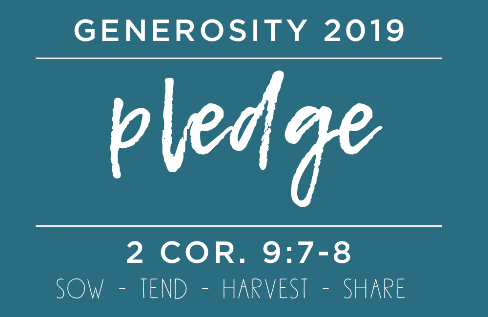 Generosity 2019 pledge.png