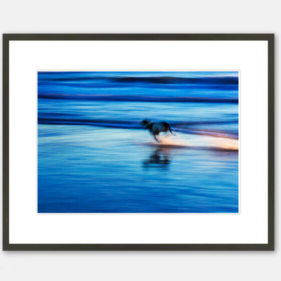 Pointer on Beach at  Sunset