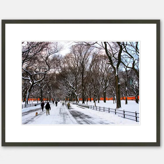 Central Park Snow and Christo's Gates