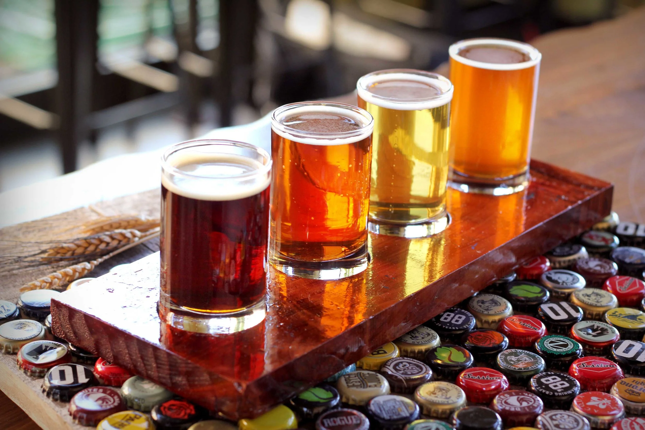 4BeerBacklit.jpg