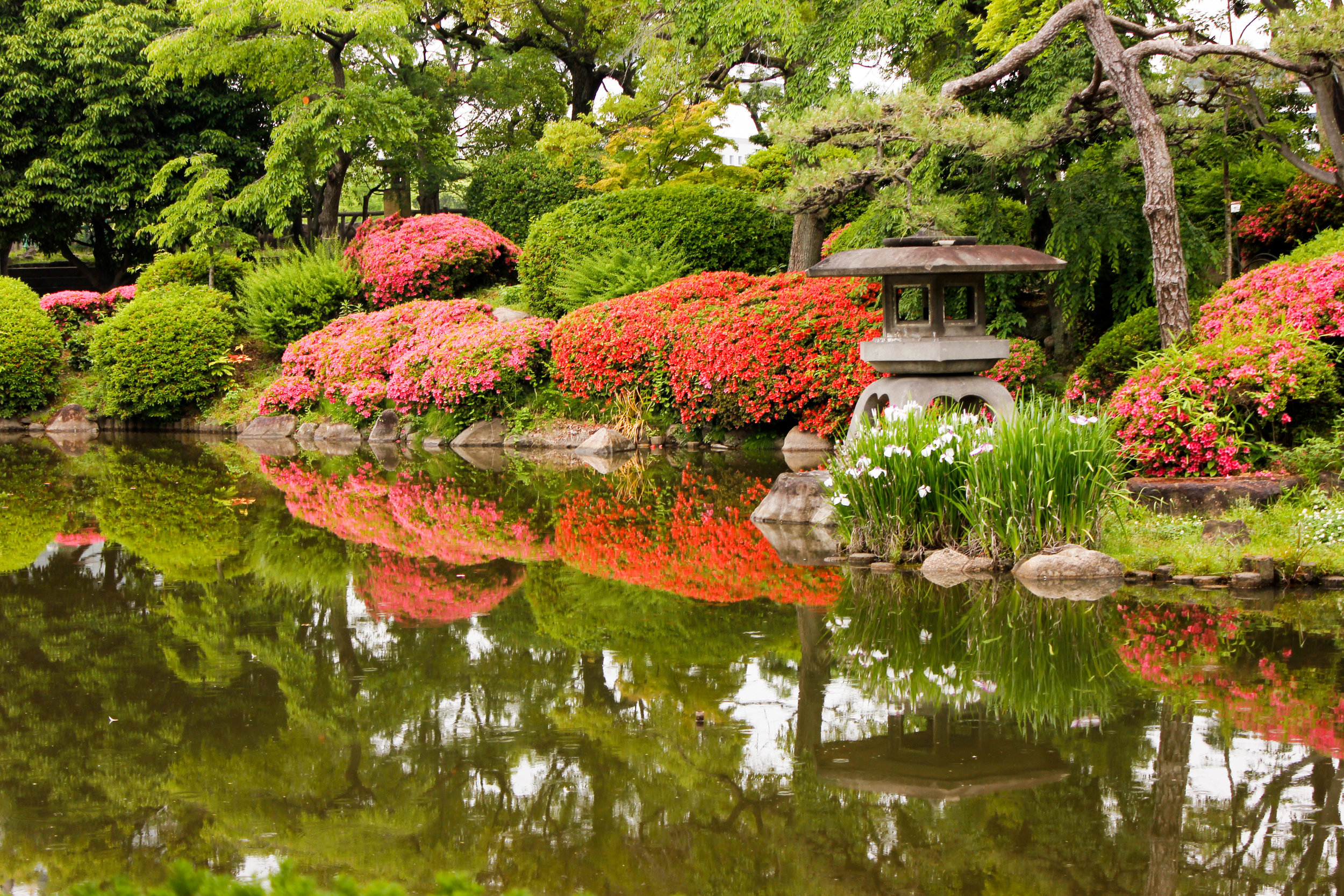 Japan2016-40.jpg