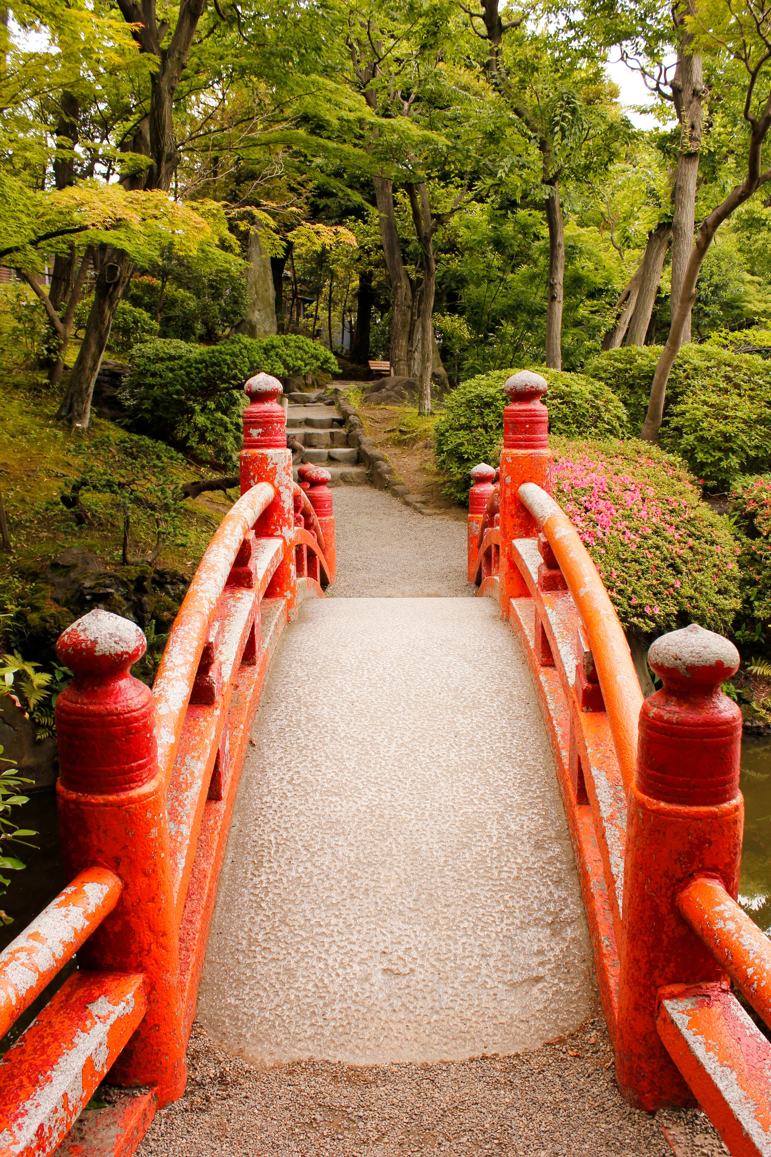 Japan2016-85.jpg