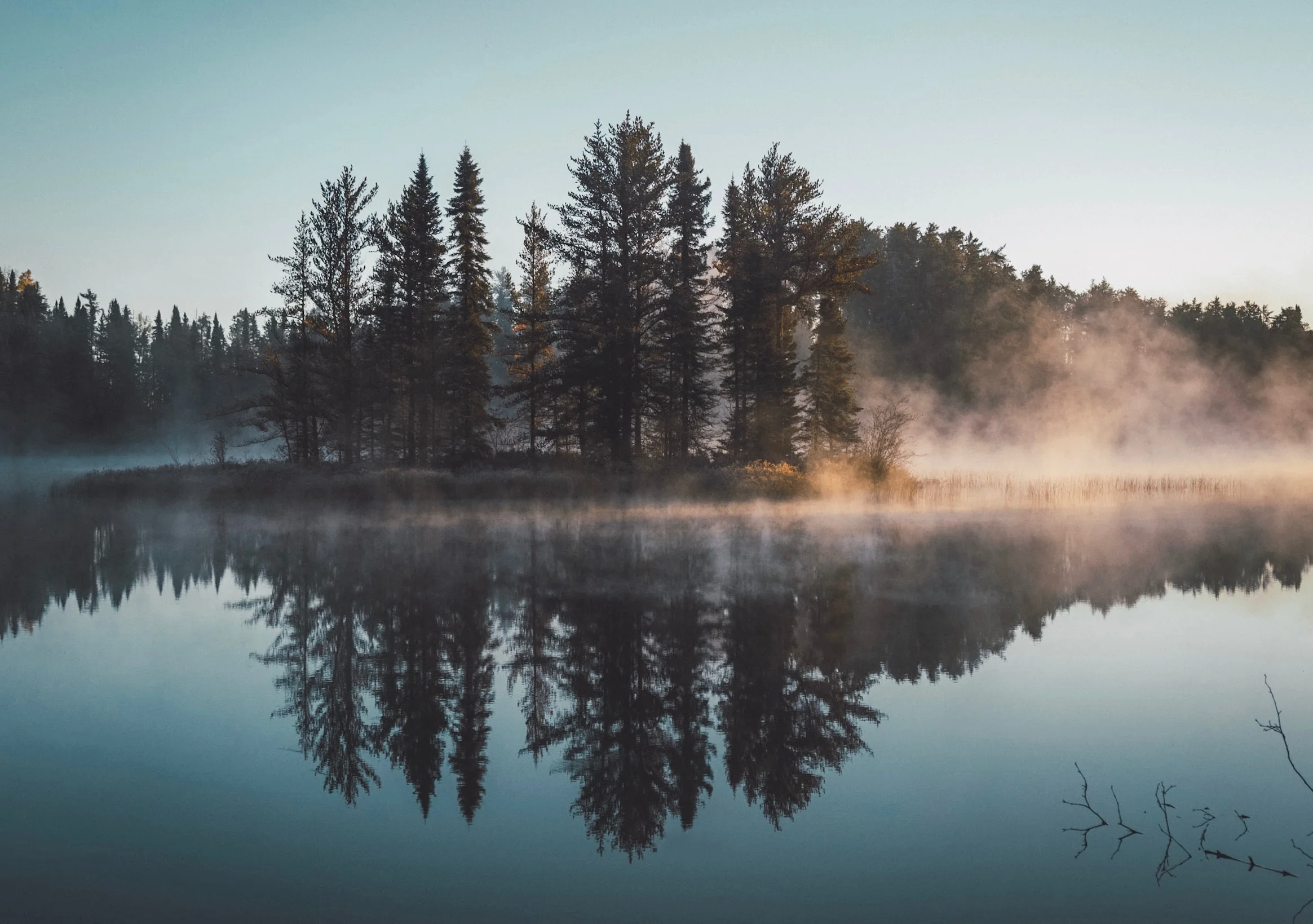 Key Benefits of Nature Therapy.jpg