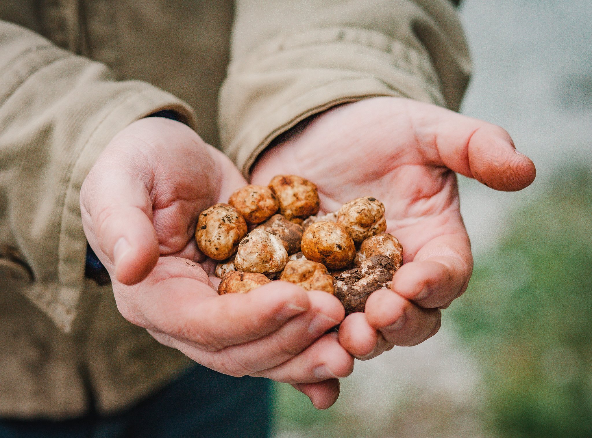 Bougie Truffle Tromp with Black Tie Tours