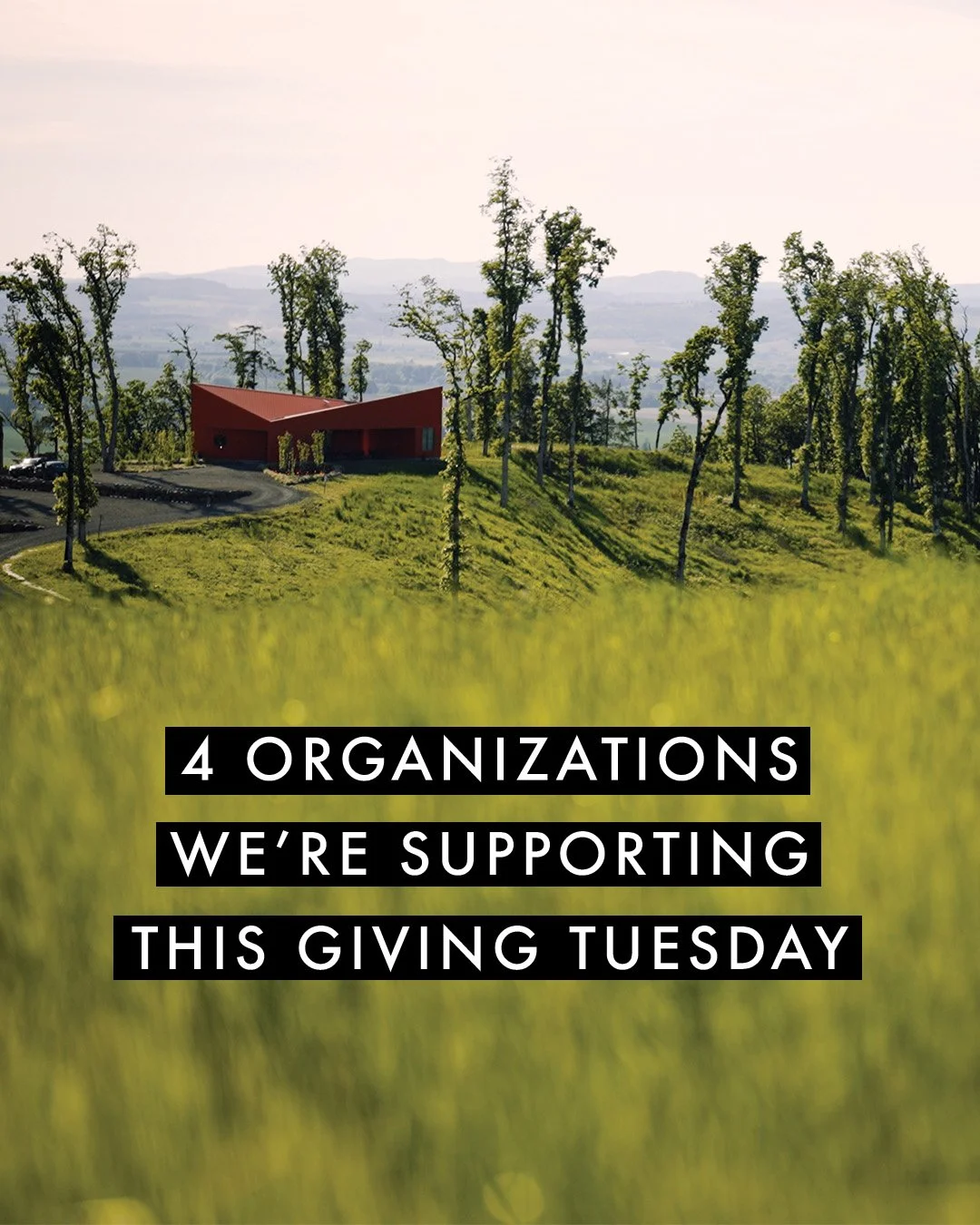 This Giving Tuesday, we&rsquo;re supporting four organizations whose missions&mdash;food access, housing security, culinary opportunity, and heart health&mdash;reflect the values at the core of Corollary:

🍽️ @yamhillcap provides essential food, hou