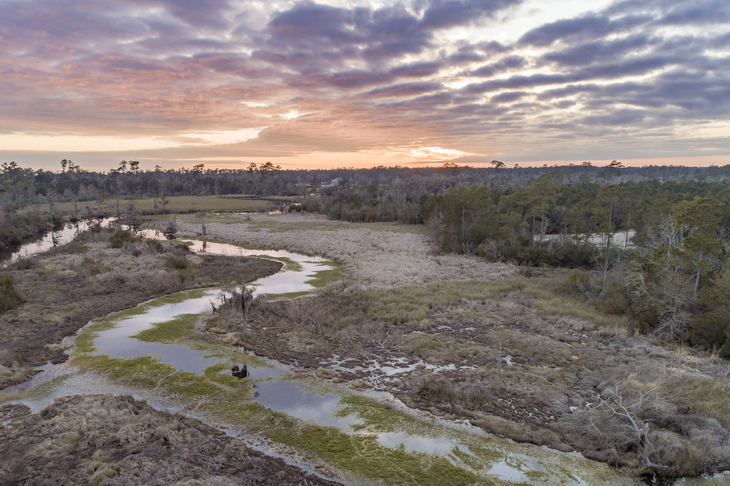 DJI_0239-2.jpg