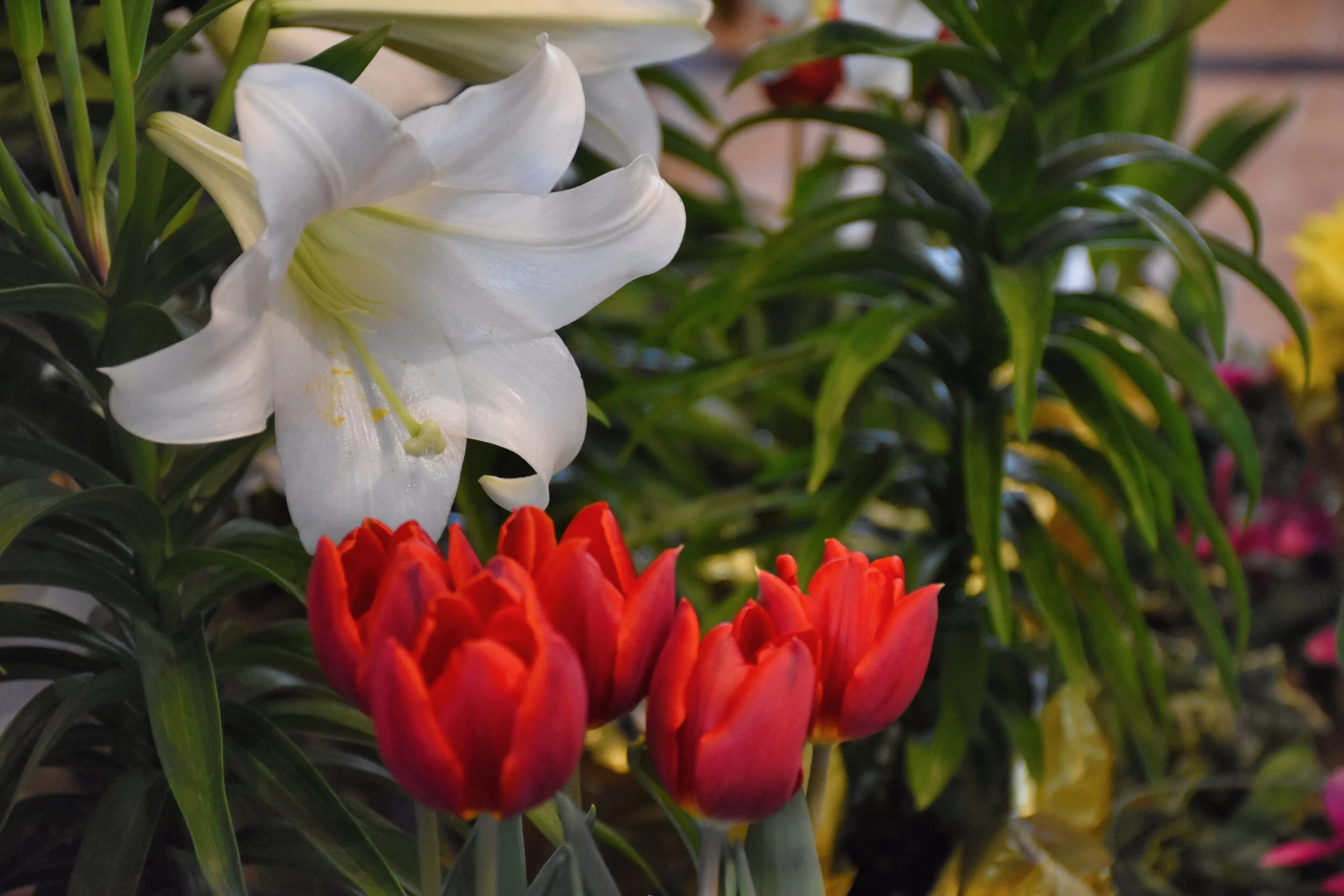 Easter “Flower” Dedications