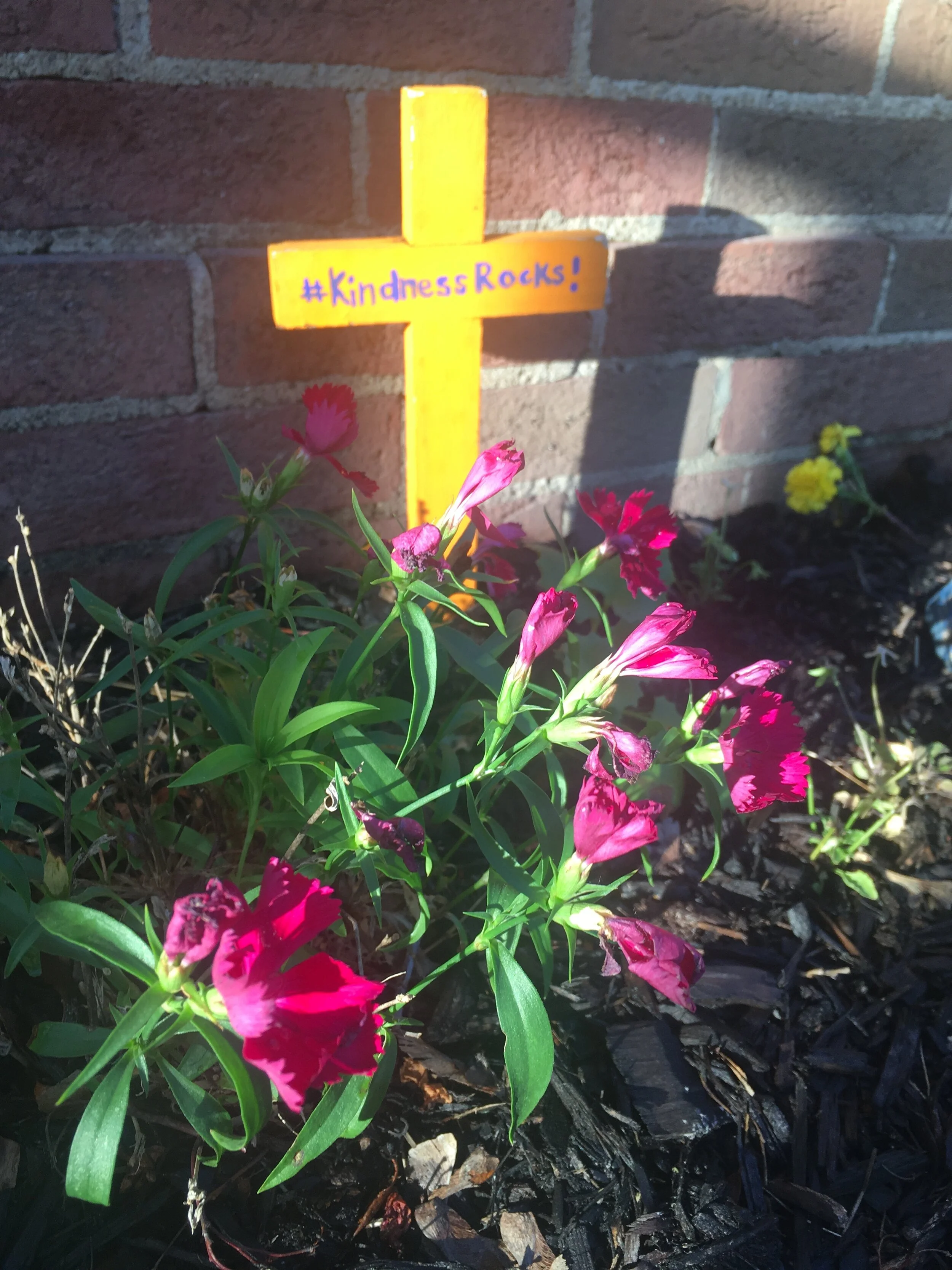 " ... standing on Holy Ground"