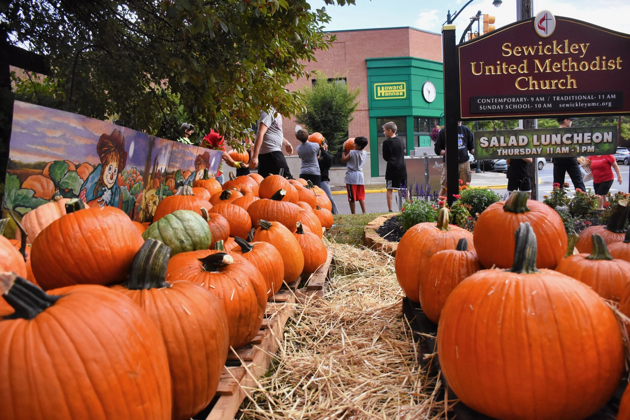 Urgent – Pumpkin Patch Poll