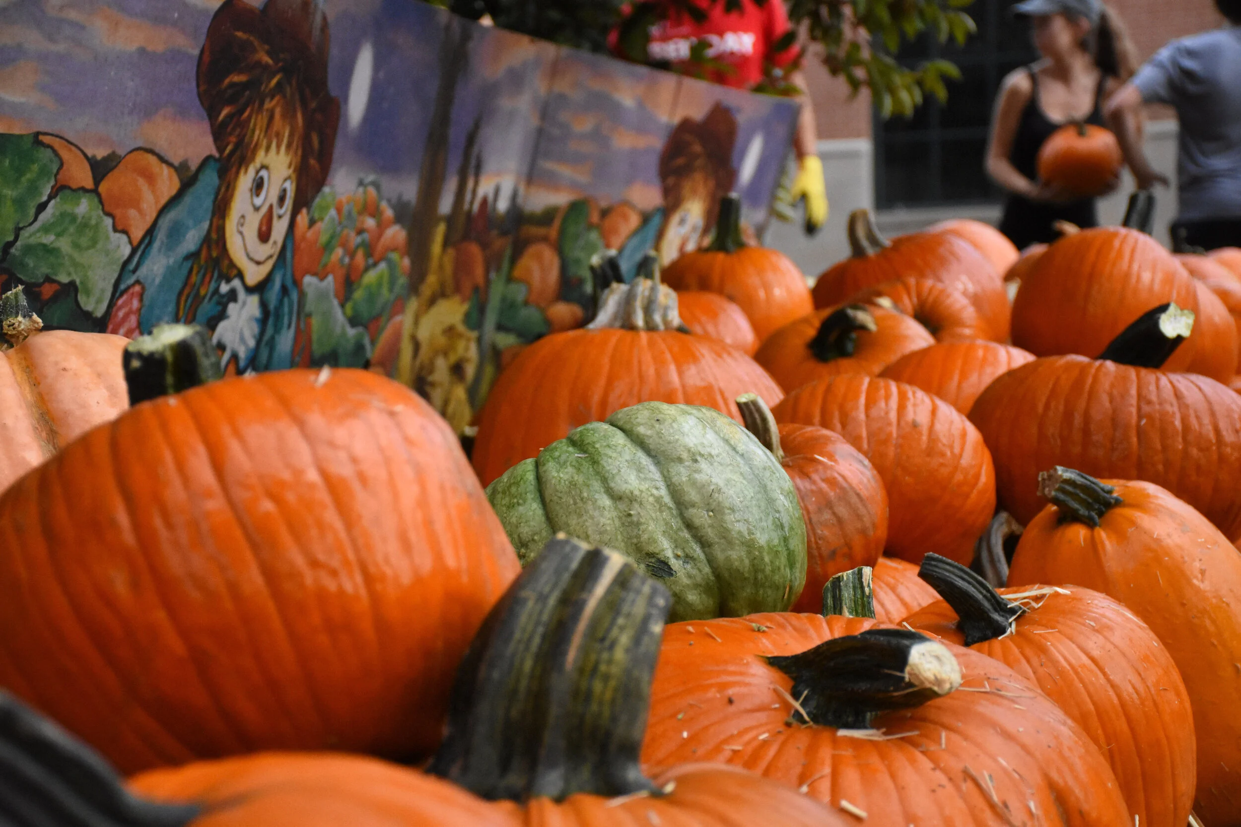 Pumpkins, Pumpkins, Here Come The Pumpkins!