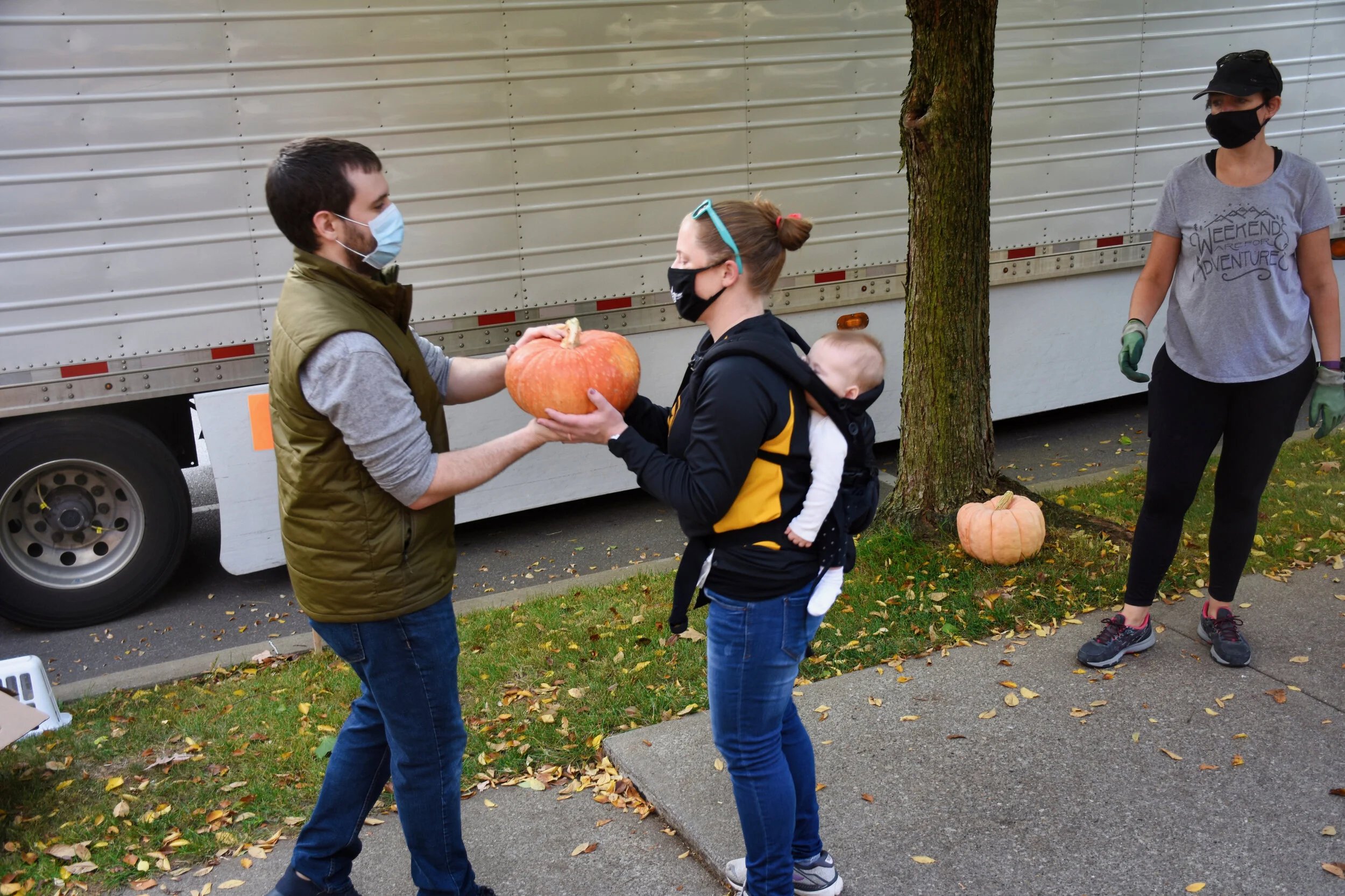 PUMPKIN PATCH 2021 UPDATE